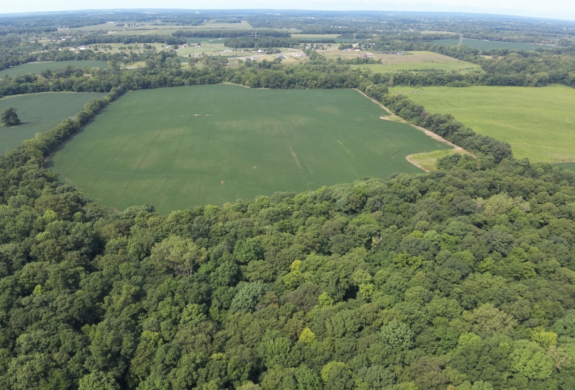 DJI_20250817120601_0005_W