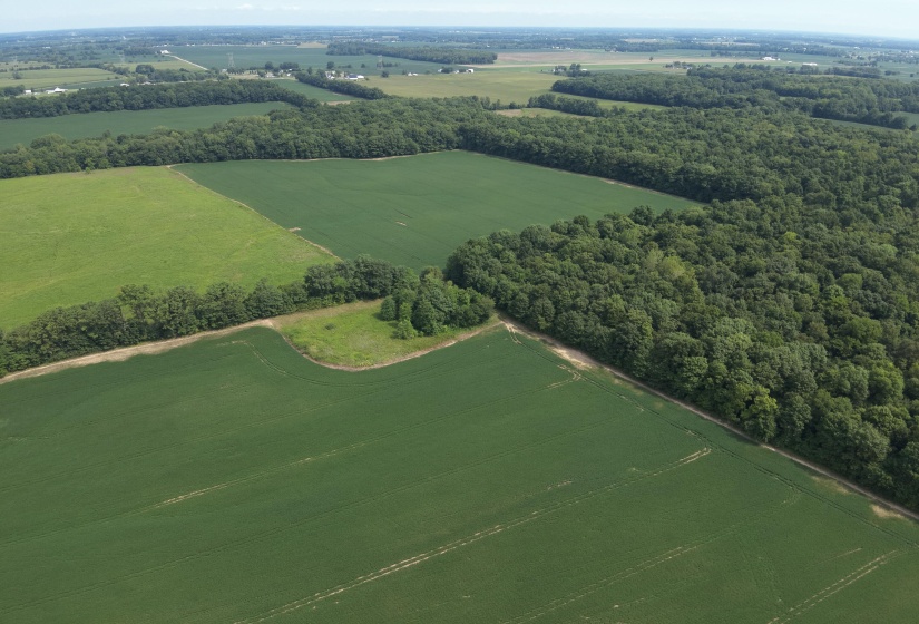 DJI_20250817120512_0003_W