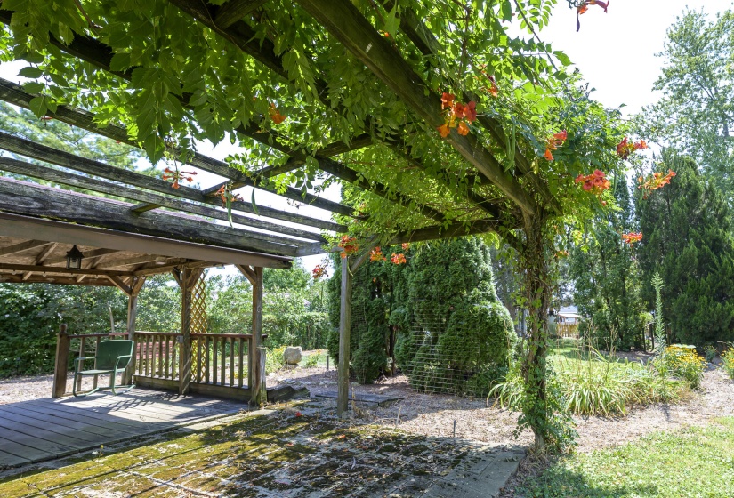 Shelter House