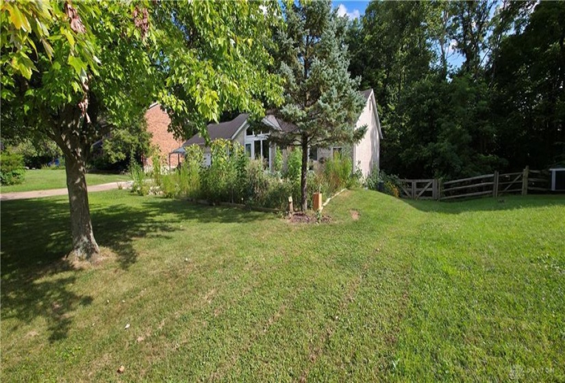 pic 5