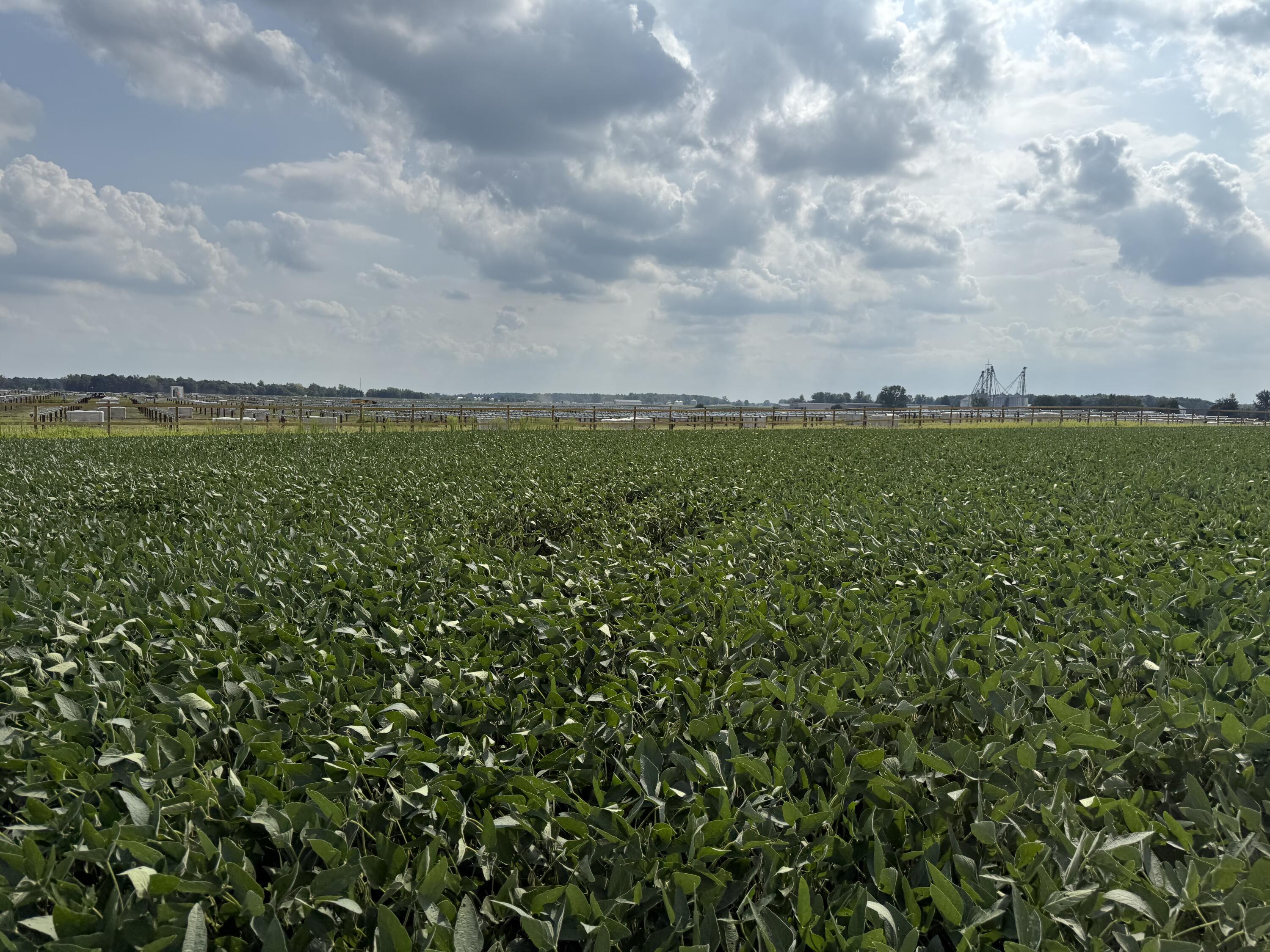 0 POWDER LICK RD., Raymond, Ohio 43067