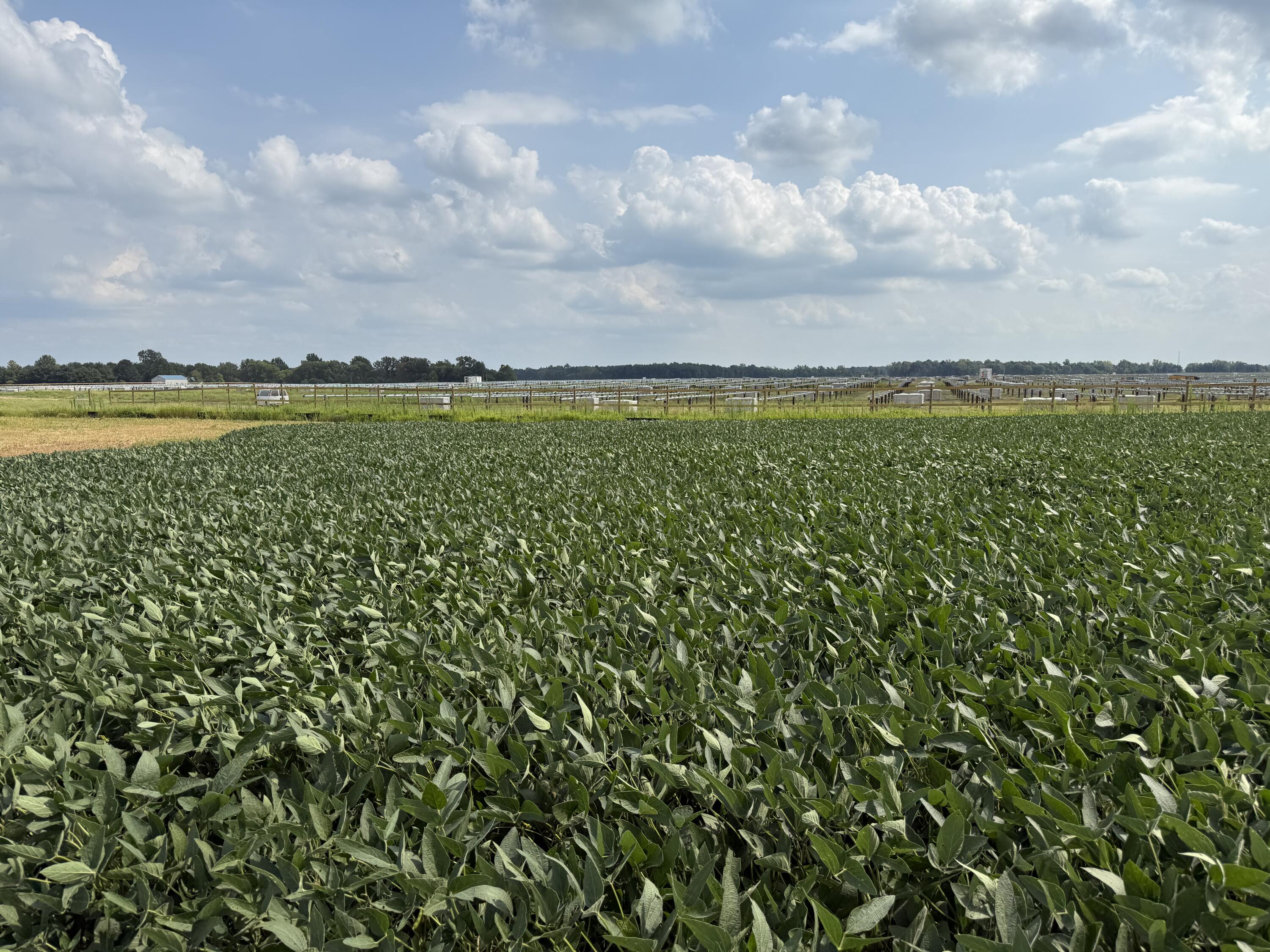 0 POWDER LICK RD., Raymond, Ohio 43067