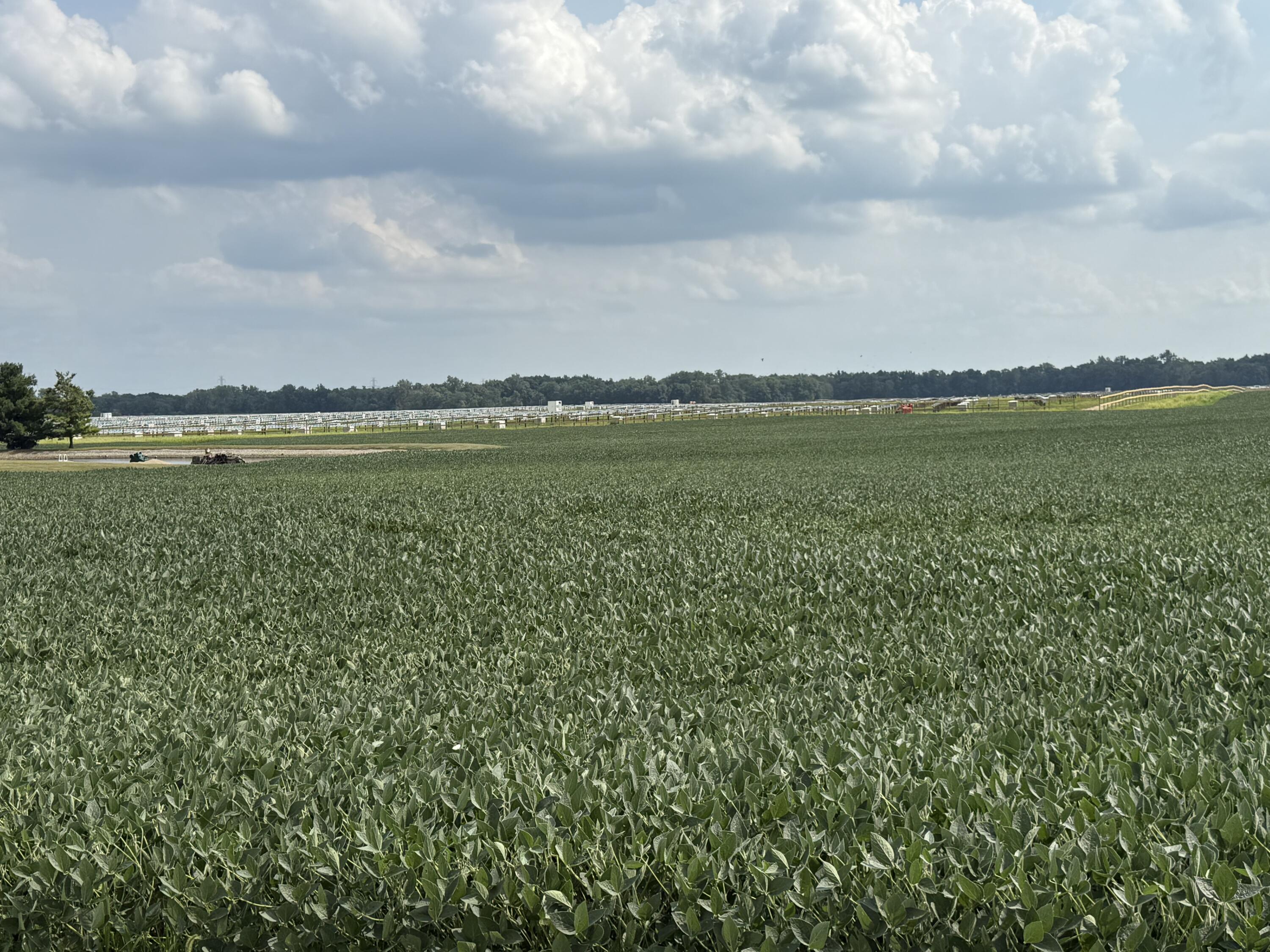 0 POWDER LICK RD., Raymond, Ohio 43067