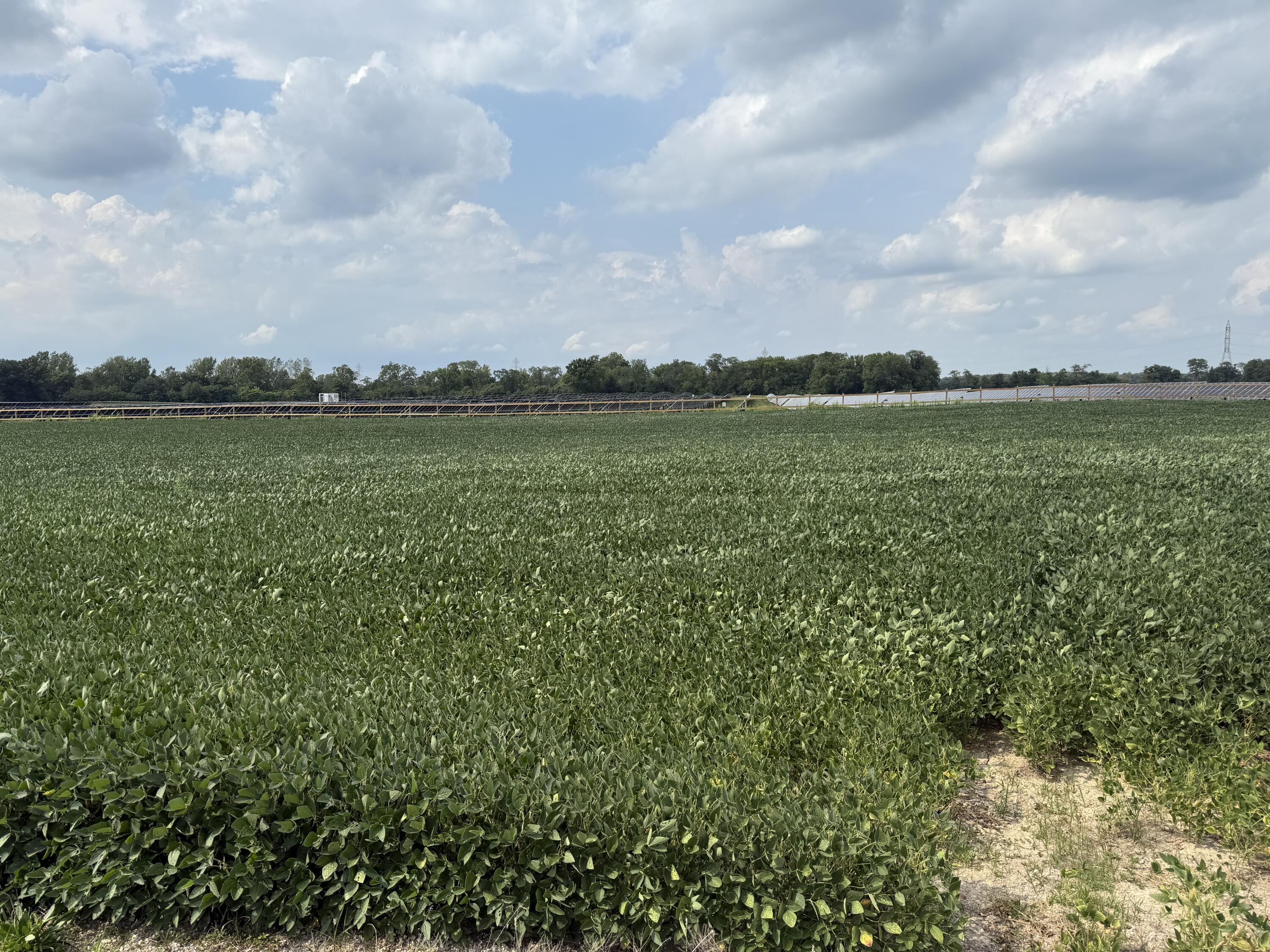 0 POWDER LICK RD., Raymond, Ohio 43067