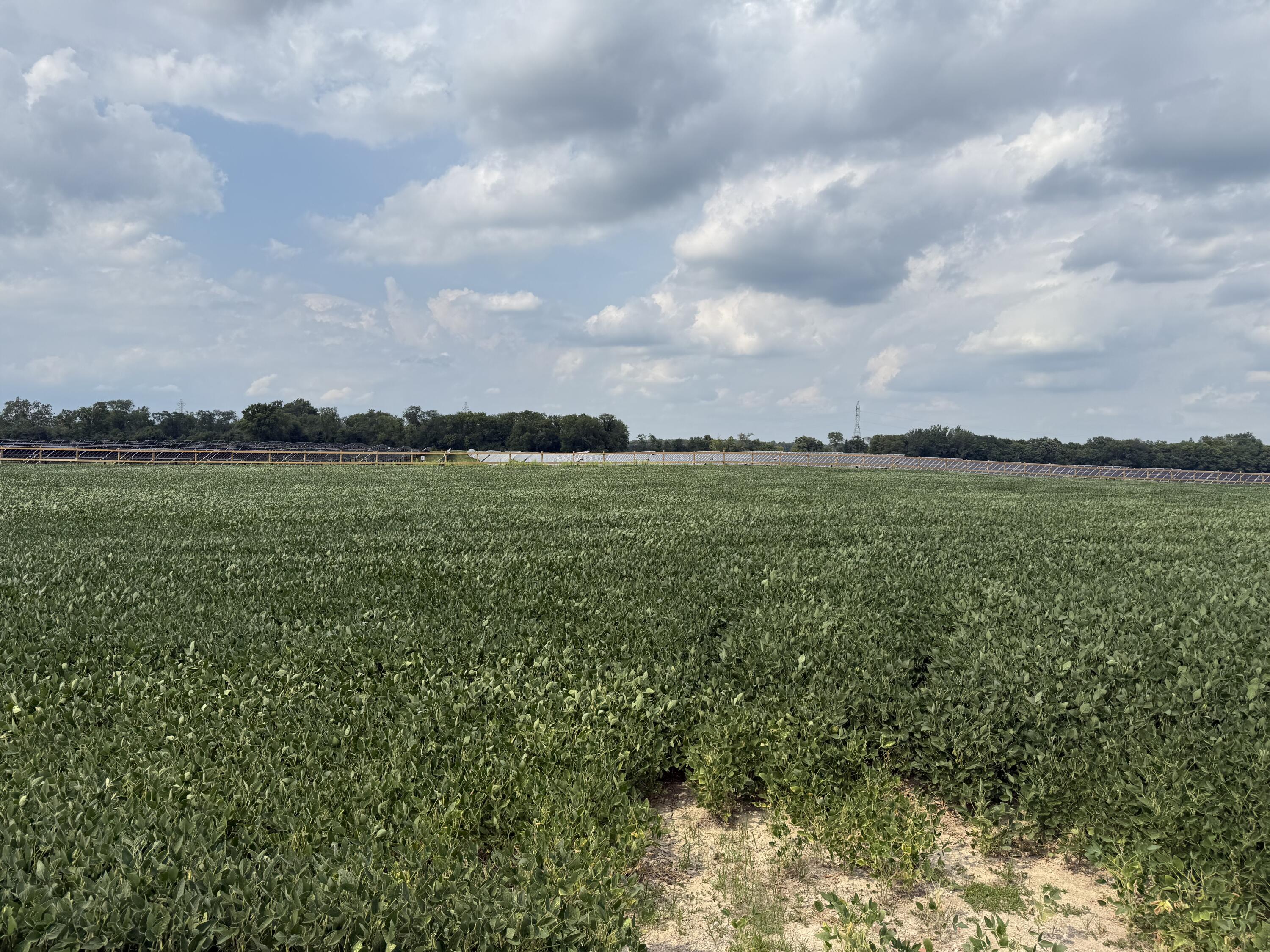 0 POWDER LICK RD., Raymond, Ohio 43067