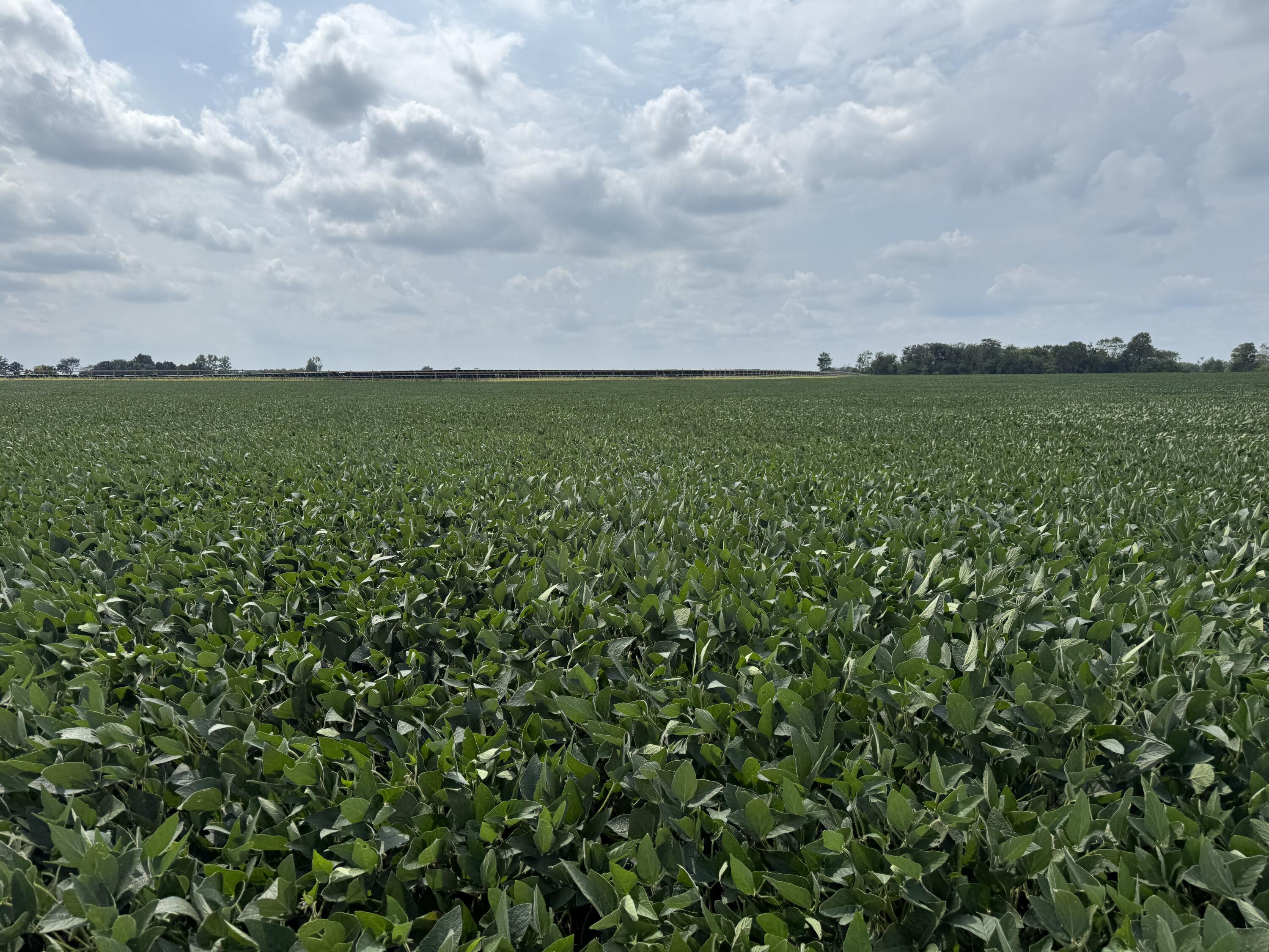 0 POWDER LICK RD., Raymond, Ohio 43067