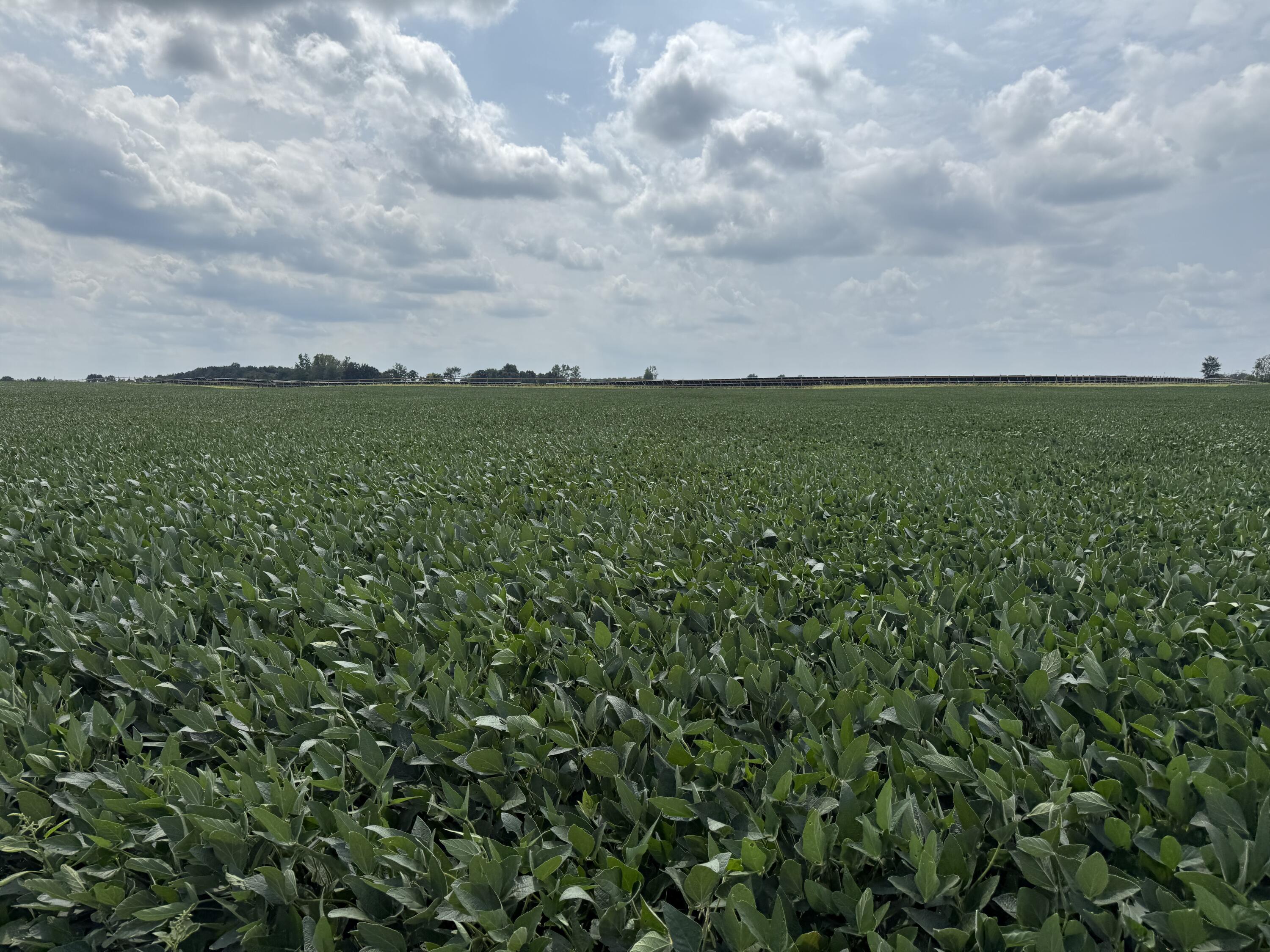 0 POWDER LICK RD., Raymond, Ohio 43067