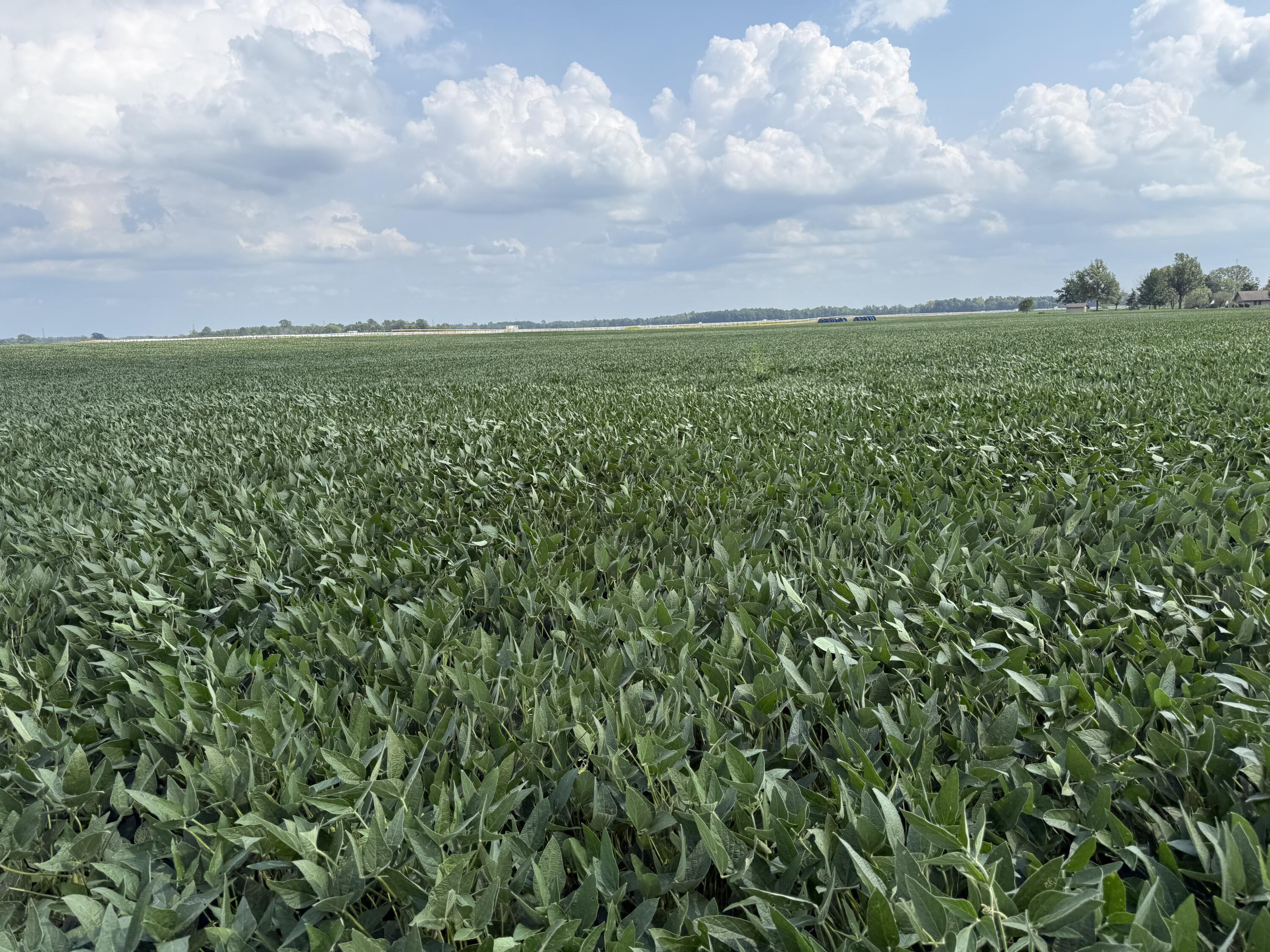 0 POWDER LICK RD., Raymond, Ohio 43067