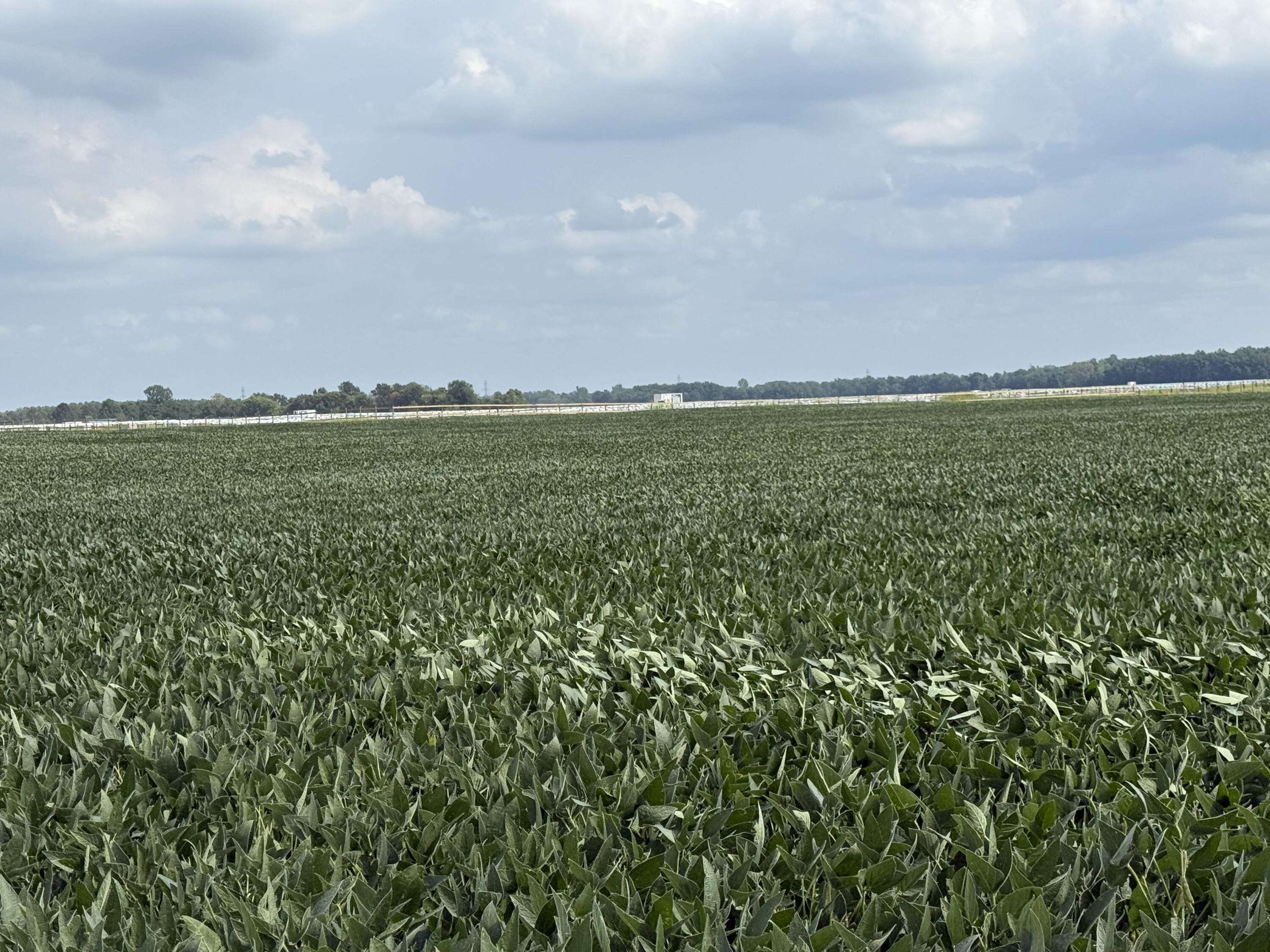 0 POWDER LICK RD., Raymond, Ohio 43067