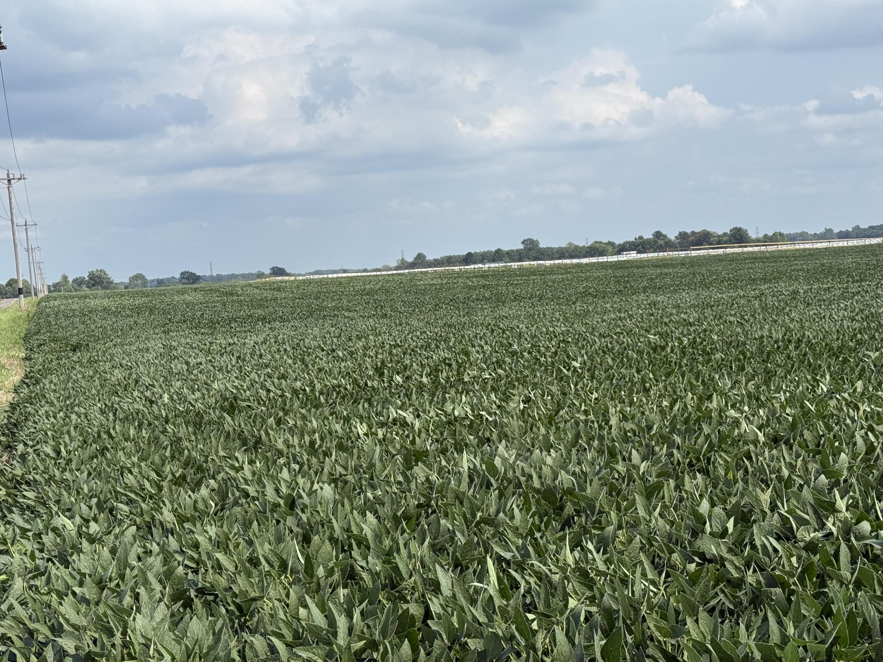 0 POWDER LICK RD., Raymond, Ohio 43067