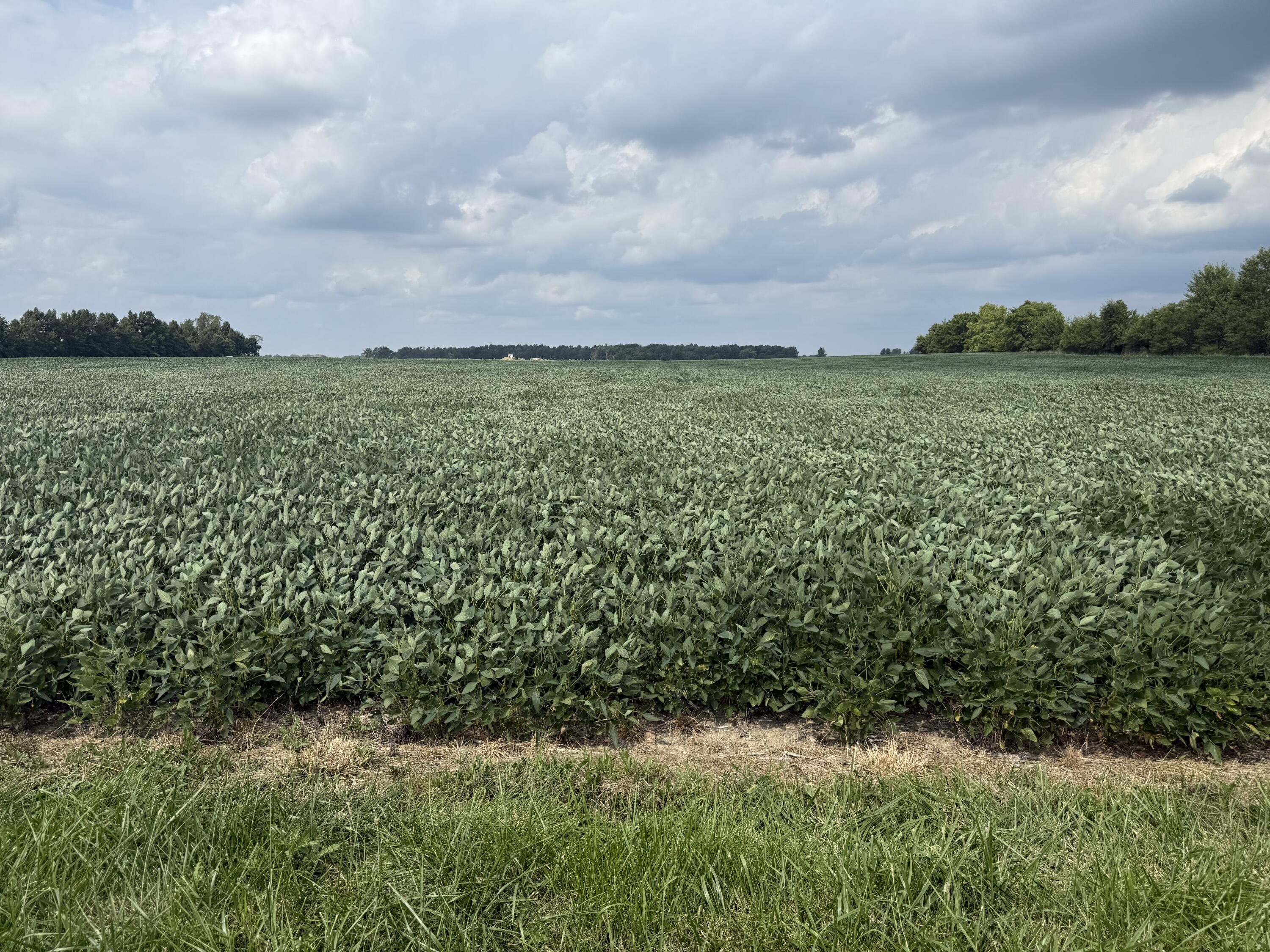 0 POWDER LICK RD., Raymond, Ohio 43067