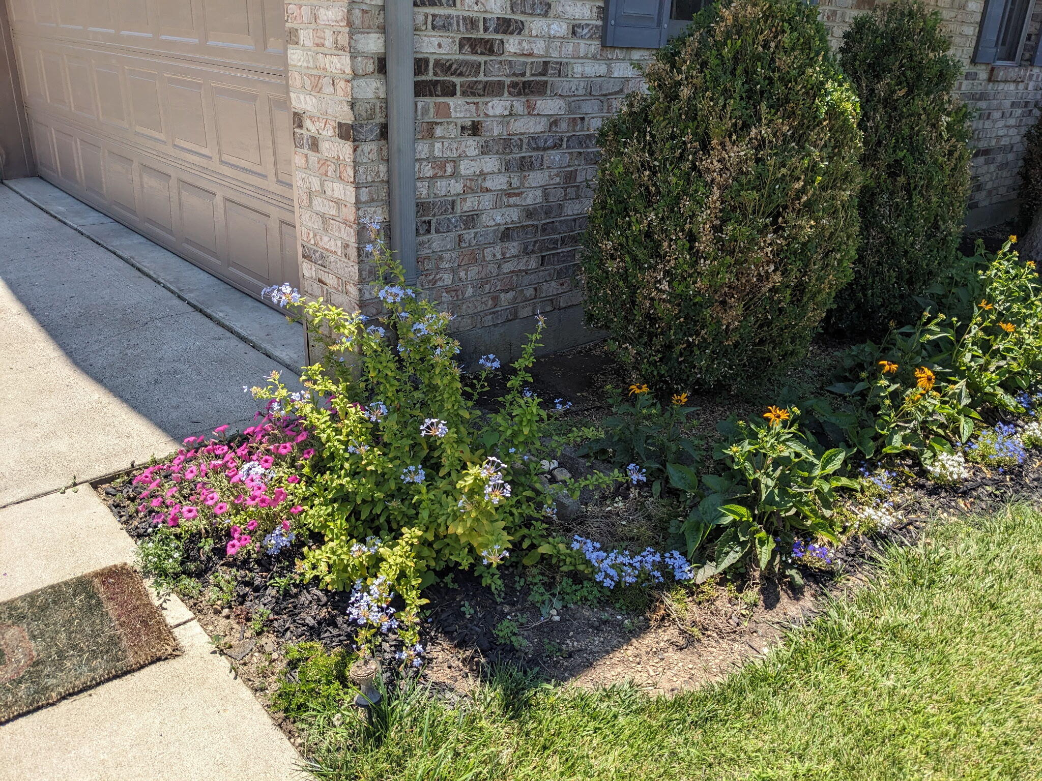 6439 Greenridge Avenue, New Carlisle, Ohio 45344