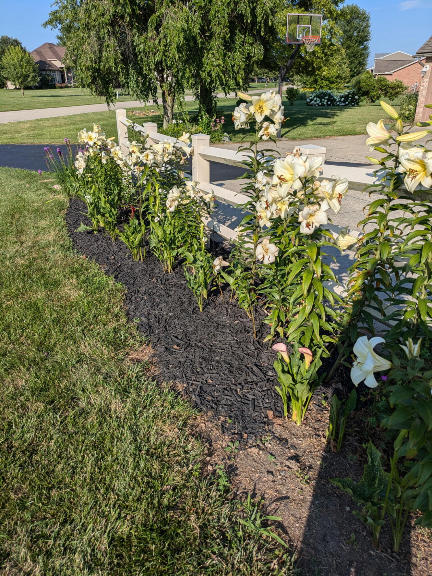 6439 Greenridge Avenue, New Carlisle, Ohio 45344
