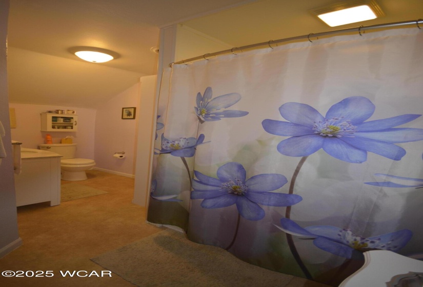208 Court Street, Wapakoneta, Ohio, 3 Bedrooms Bedrooms, ,2 BathroomsBathrooms,Residential,For Sale,Court,308053