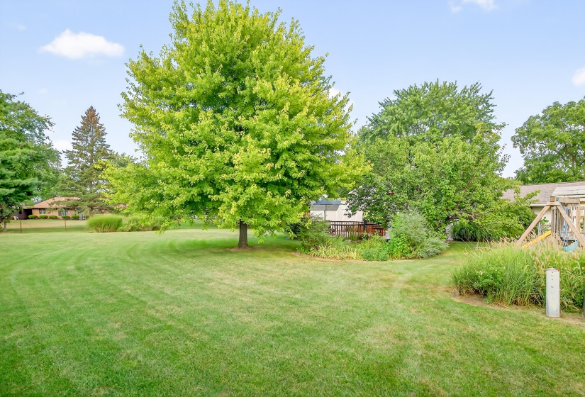 852 Branford, Troy-51
