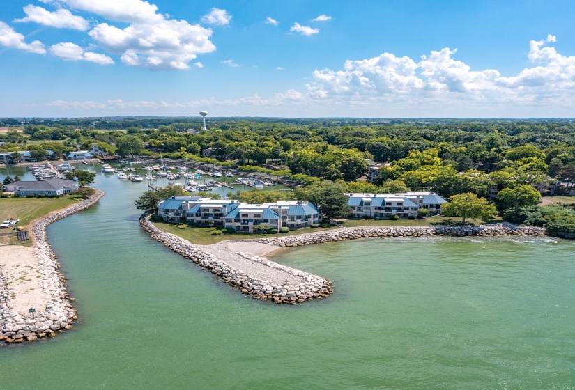 resized Marin Woods Marina_Catawba_AUG22