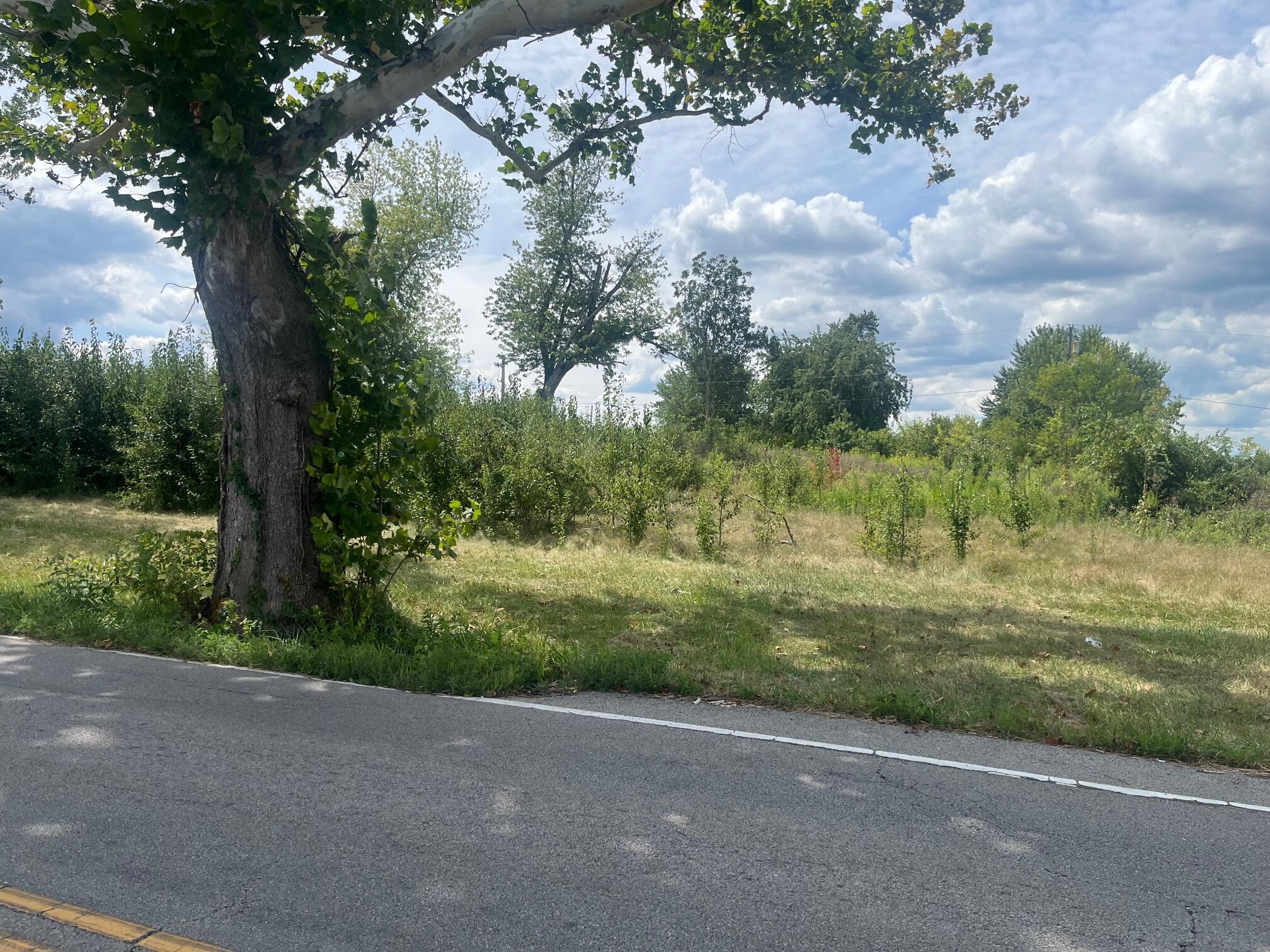 0 Hoke Road, Clayton, Ohio 45315