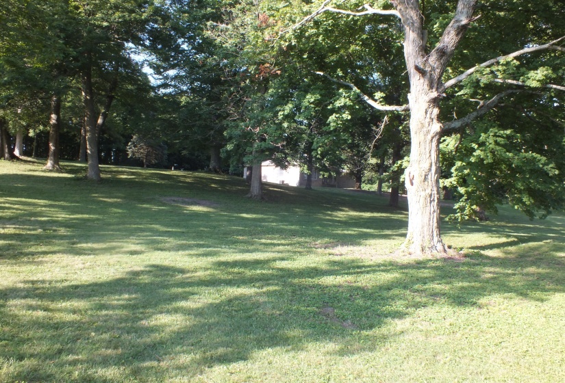 DSCF5582
