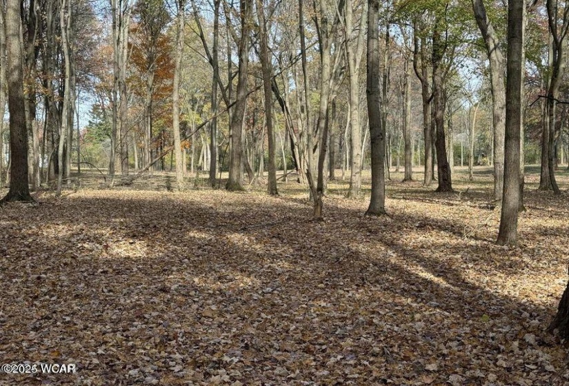 0 Colonial Lane, Lima, Ohio, ,Land,For Sale,Colonial,308104