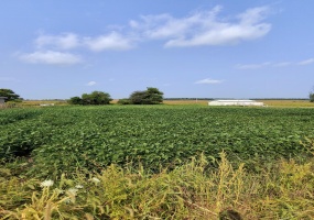 0 US-127, Arcanum, Ohio 45304, ,Land,For Sale,US-127,1041191