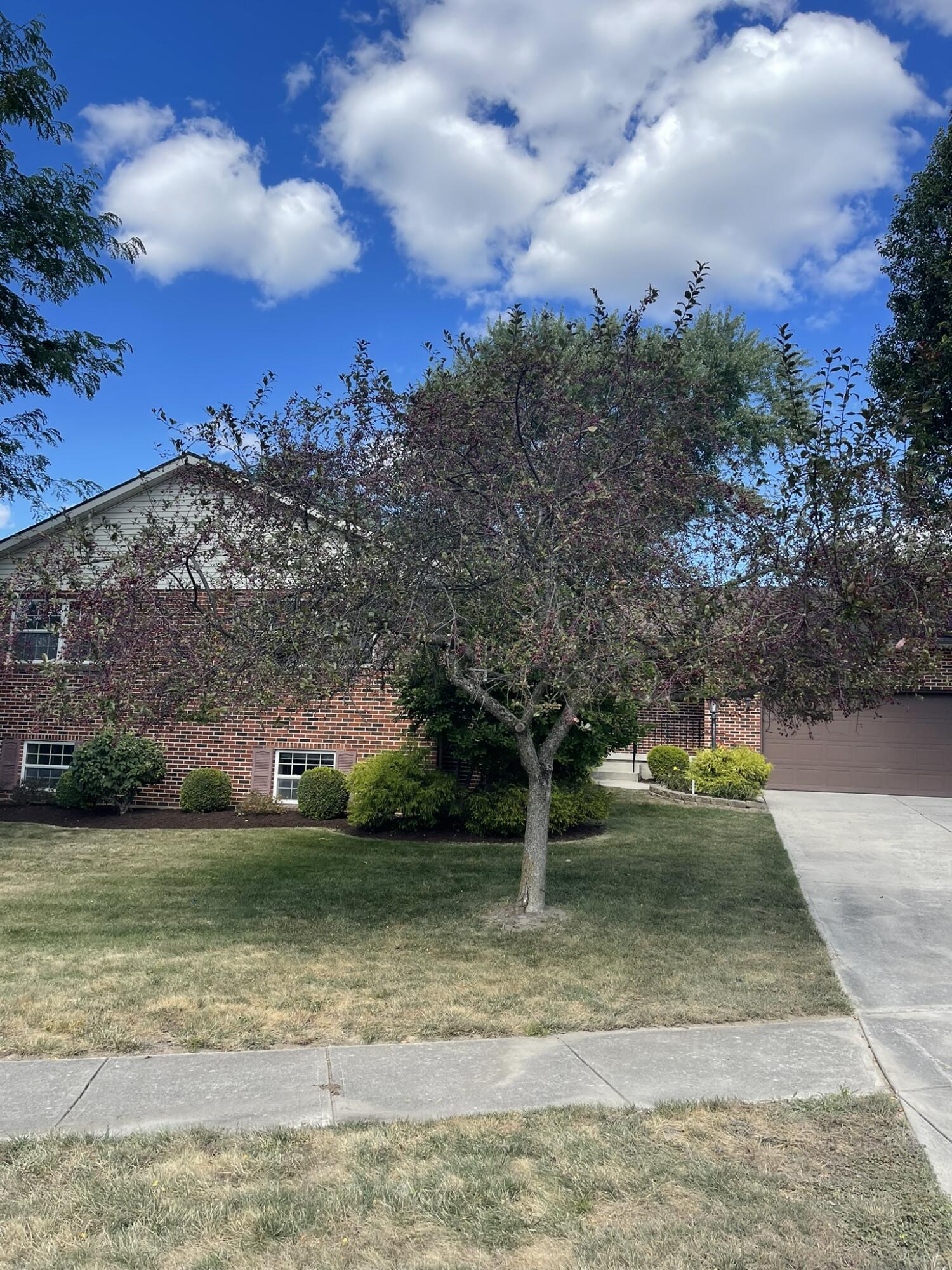4438 Tacoma Street, Springfield, Ohio 45503