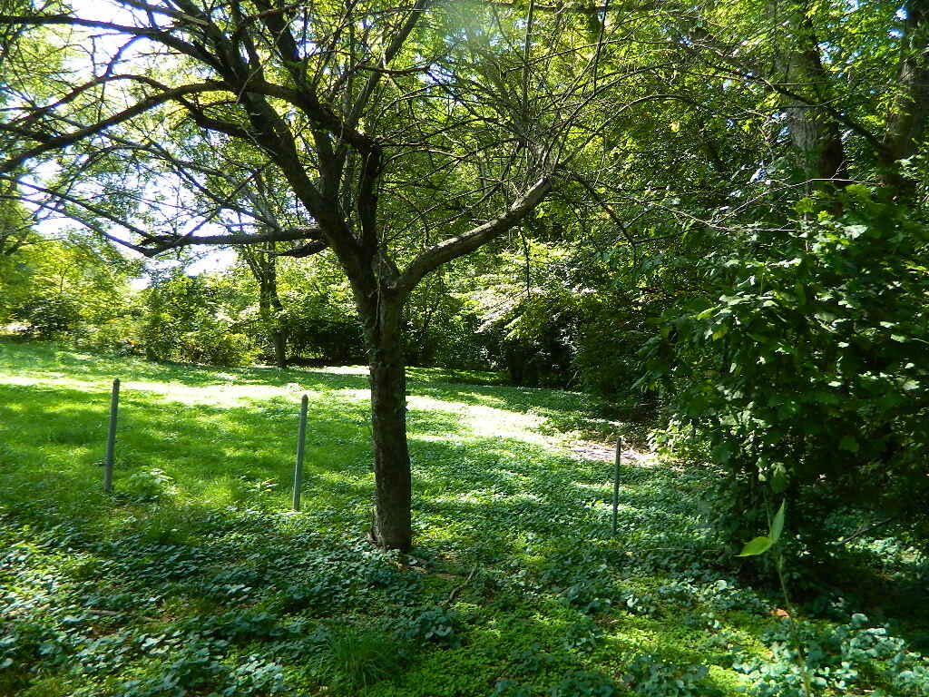 5820 Wynn Road, Springfield, Ohio 45502