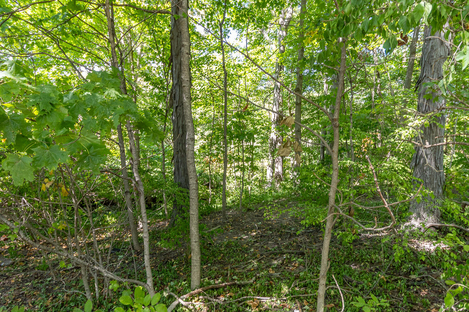 0 Hickory Drive, Greenville, Ohio 45331
