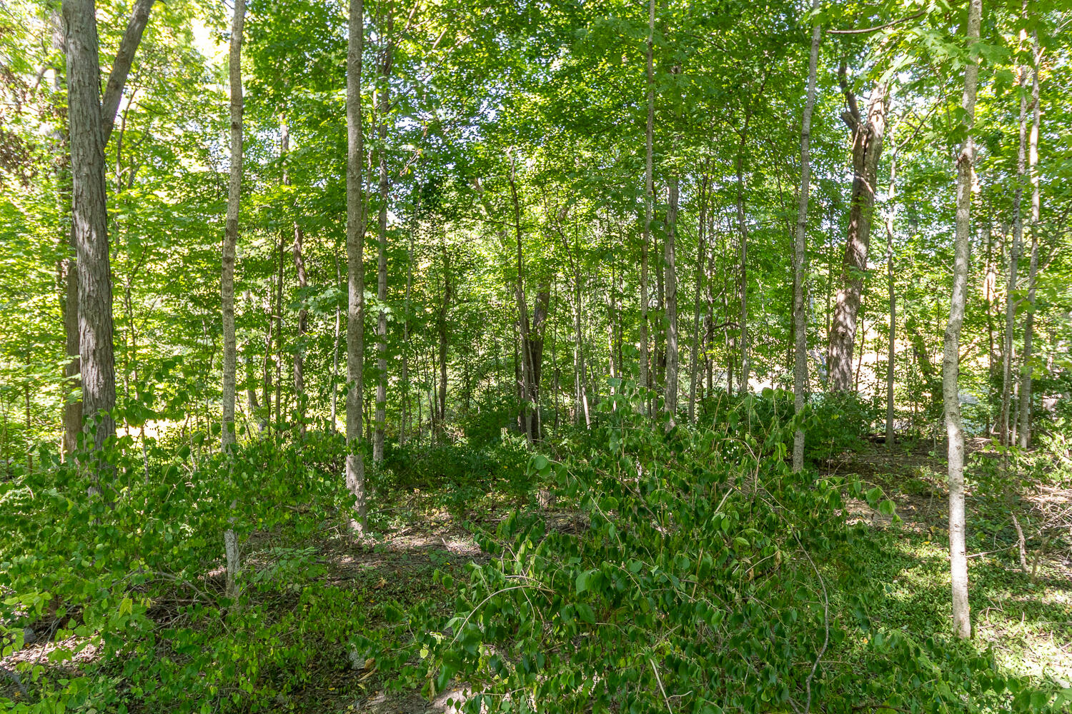 0 Hickory Drive, Greenville, Ohio 45331