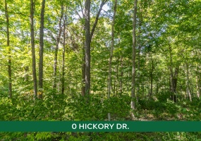 0 Hickory Drive, Greenville, Ohio 45331, ,Land,For Sale,Hickory,1041334