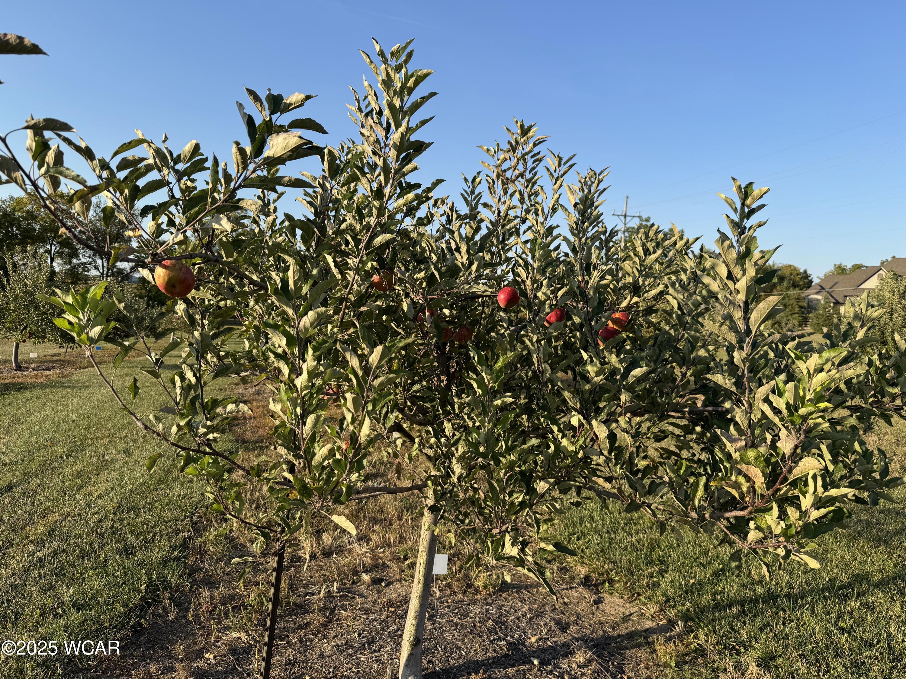 5025 Cool Road, Lima, Ohio