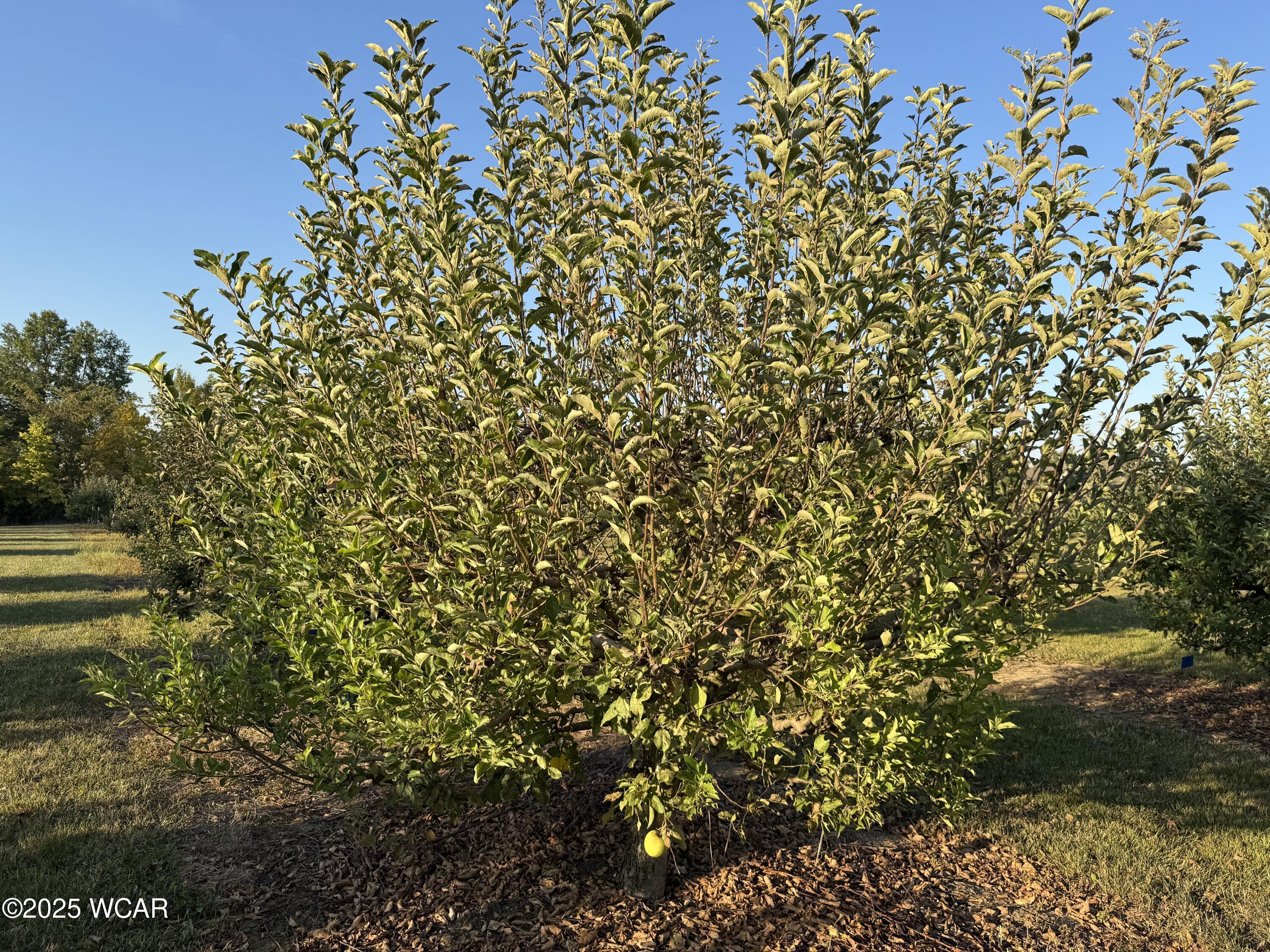 5025 Cool Road, Lima, Ohio