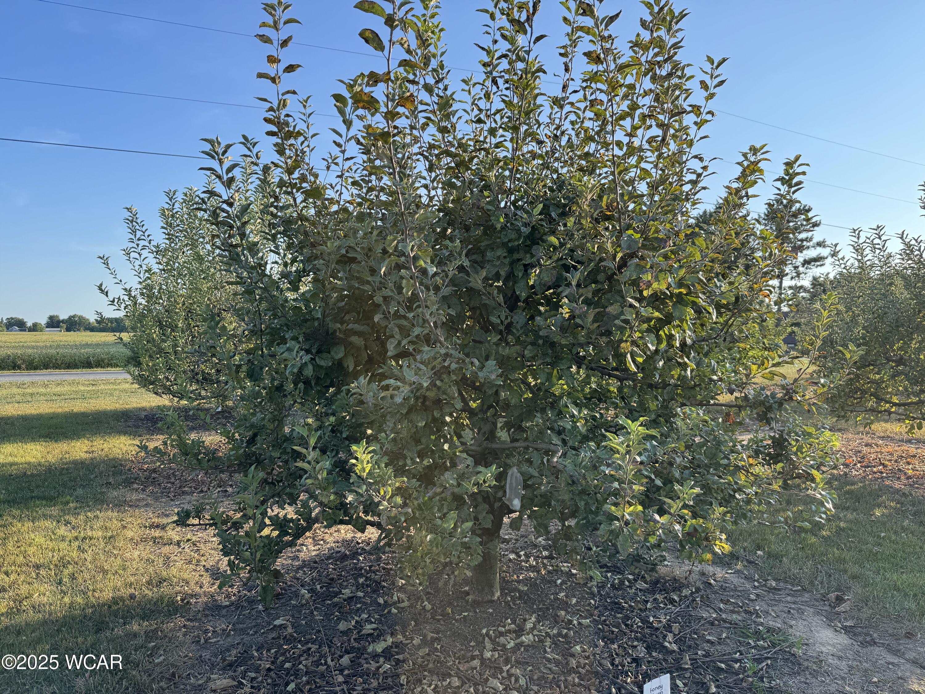 5025 Cool Road, Lima, Ohio