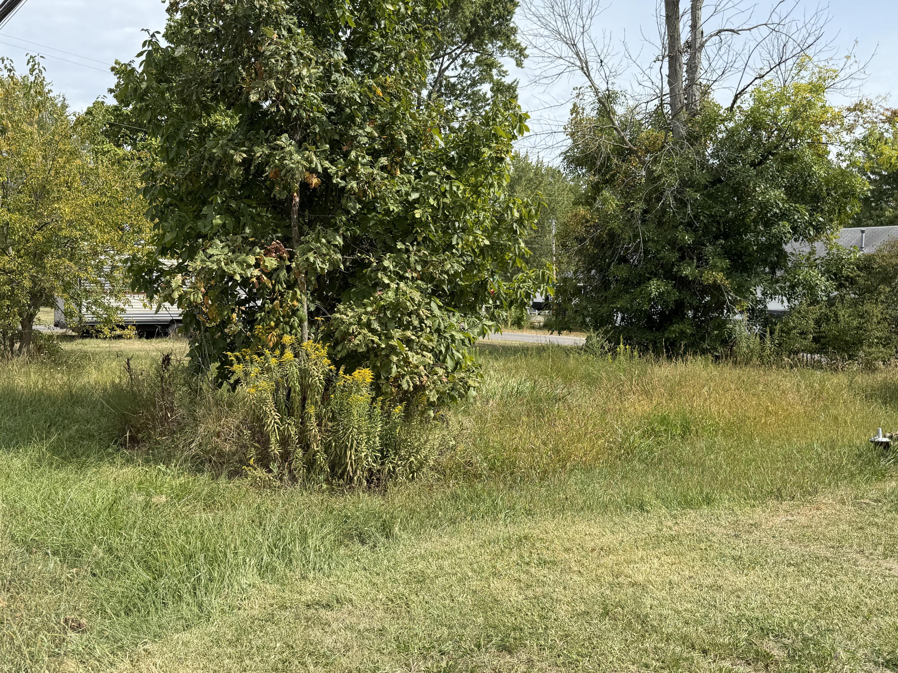 0 Oak Street, Lakeview, Ohio 43331