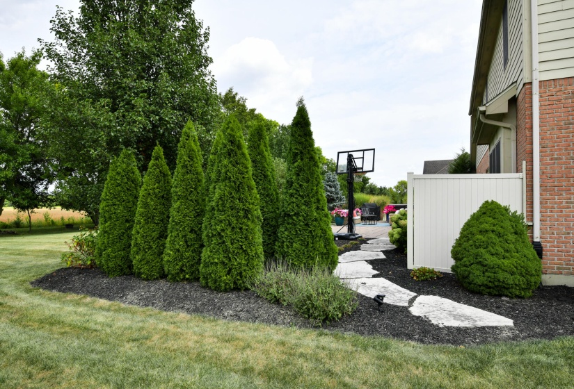 2791 Meadowpoint-81