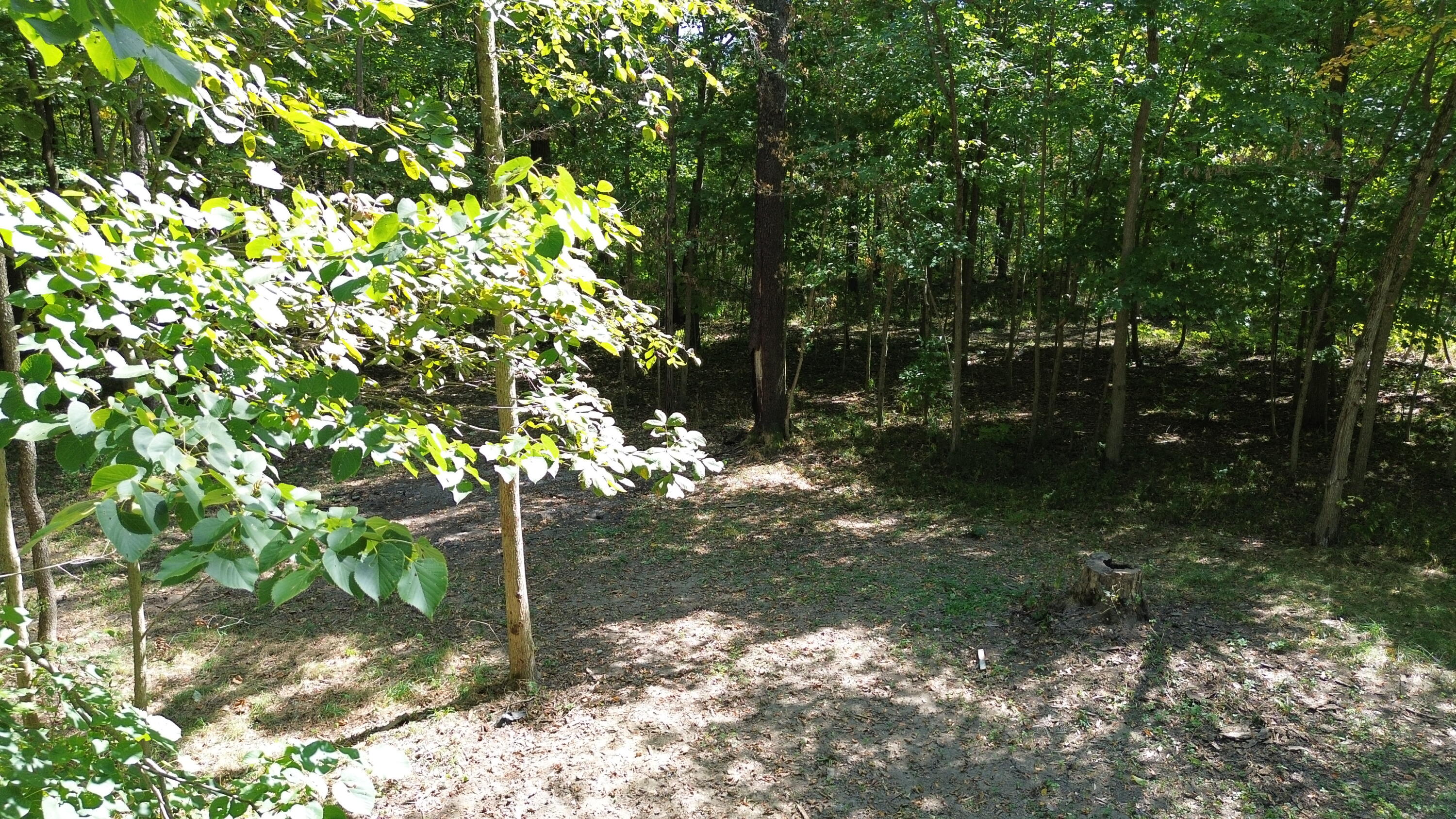 19680 Southland Road, Jackson Center, Ohio 45334