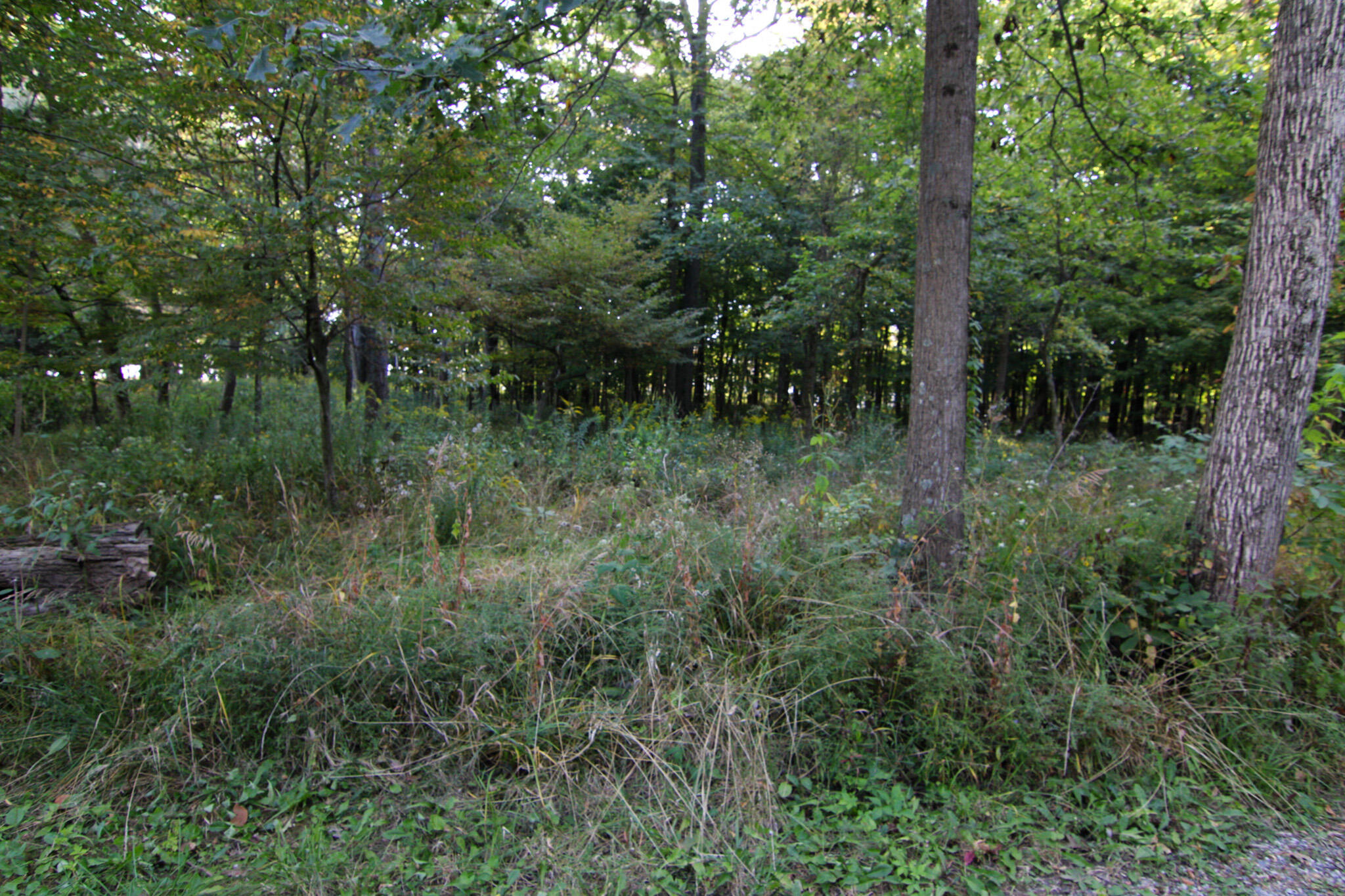 19680 Southland Road, Jackson Center, Ohio 45334