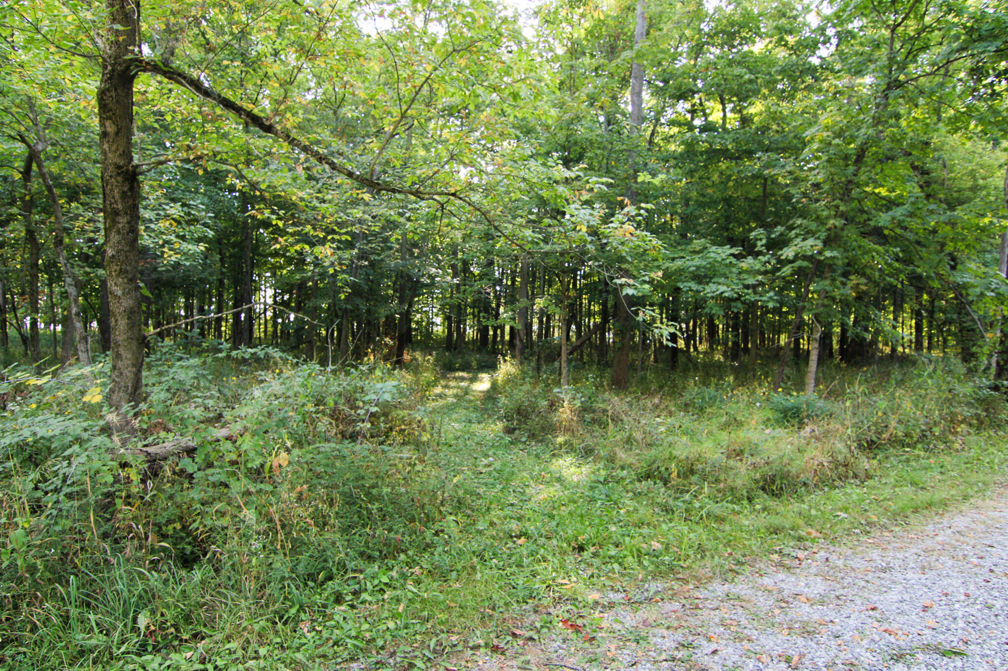 19680 Southland Road, Jackson Center, Ohio 45334