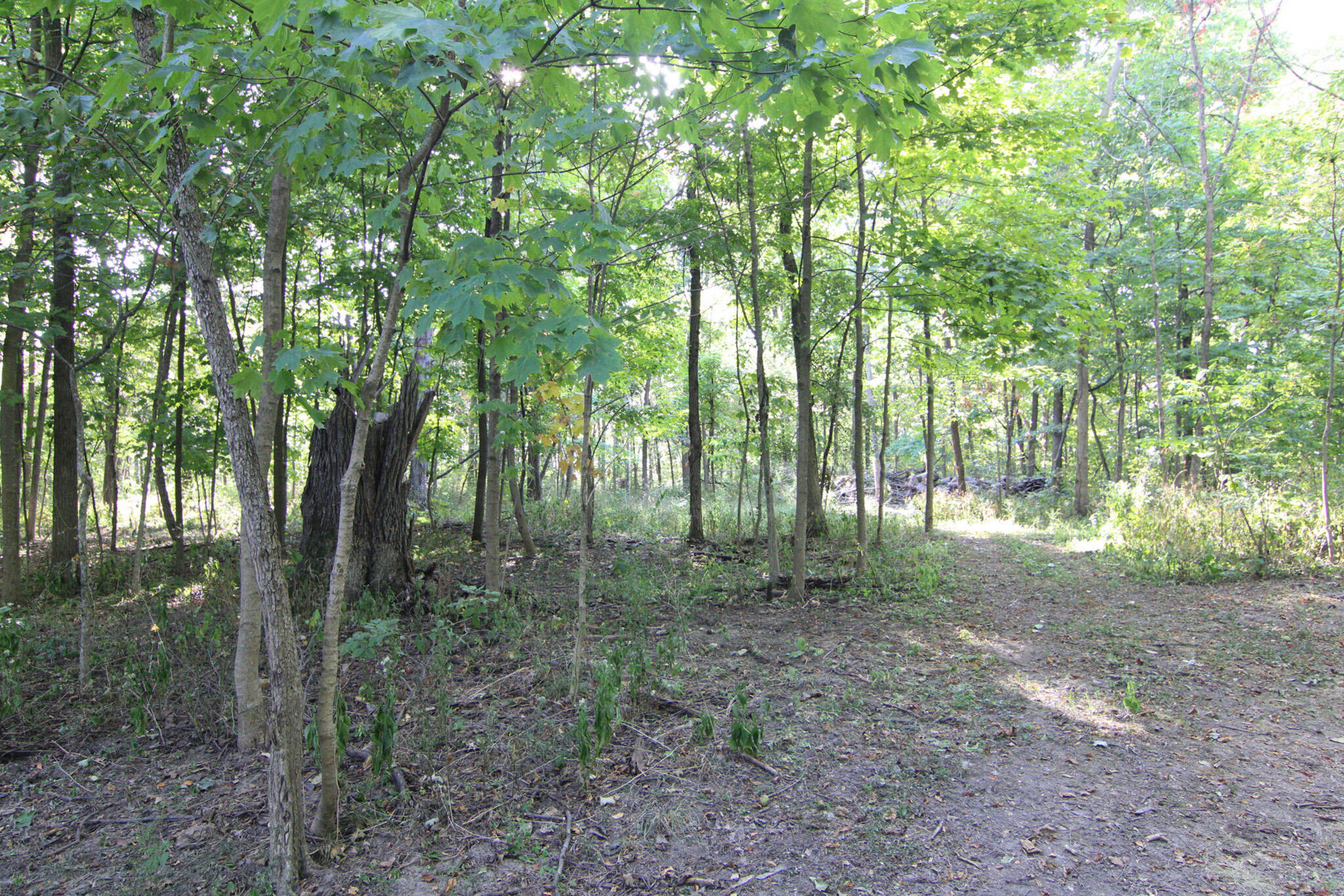 19680 Southland Road, Jackson Center, Ohio 45334