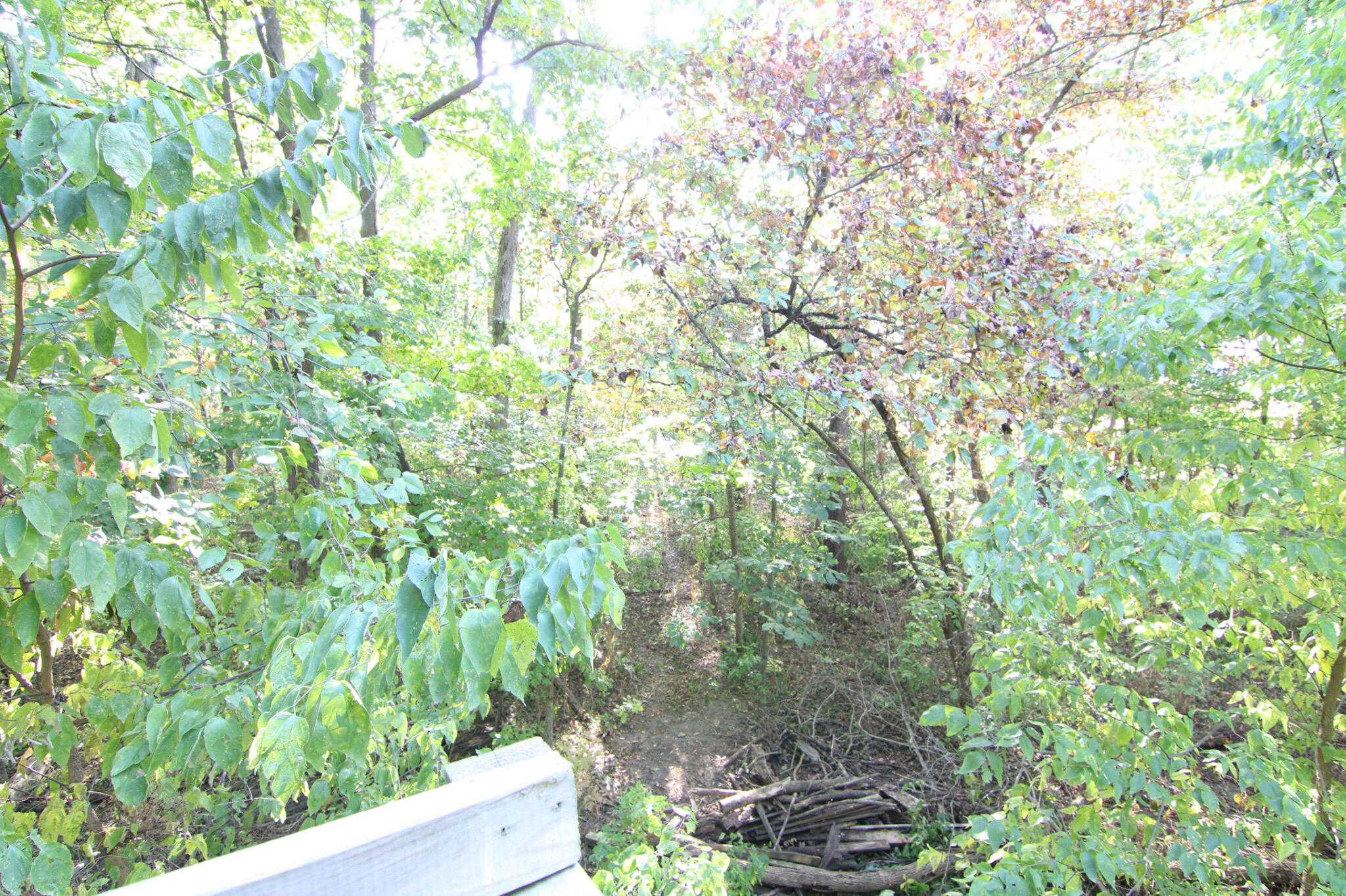 19680 Southland Road, Jackson Center, Ohio 45334