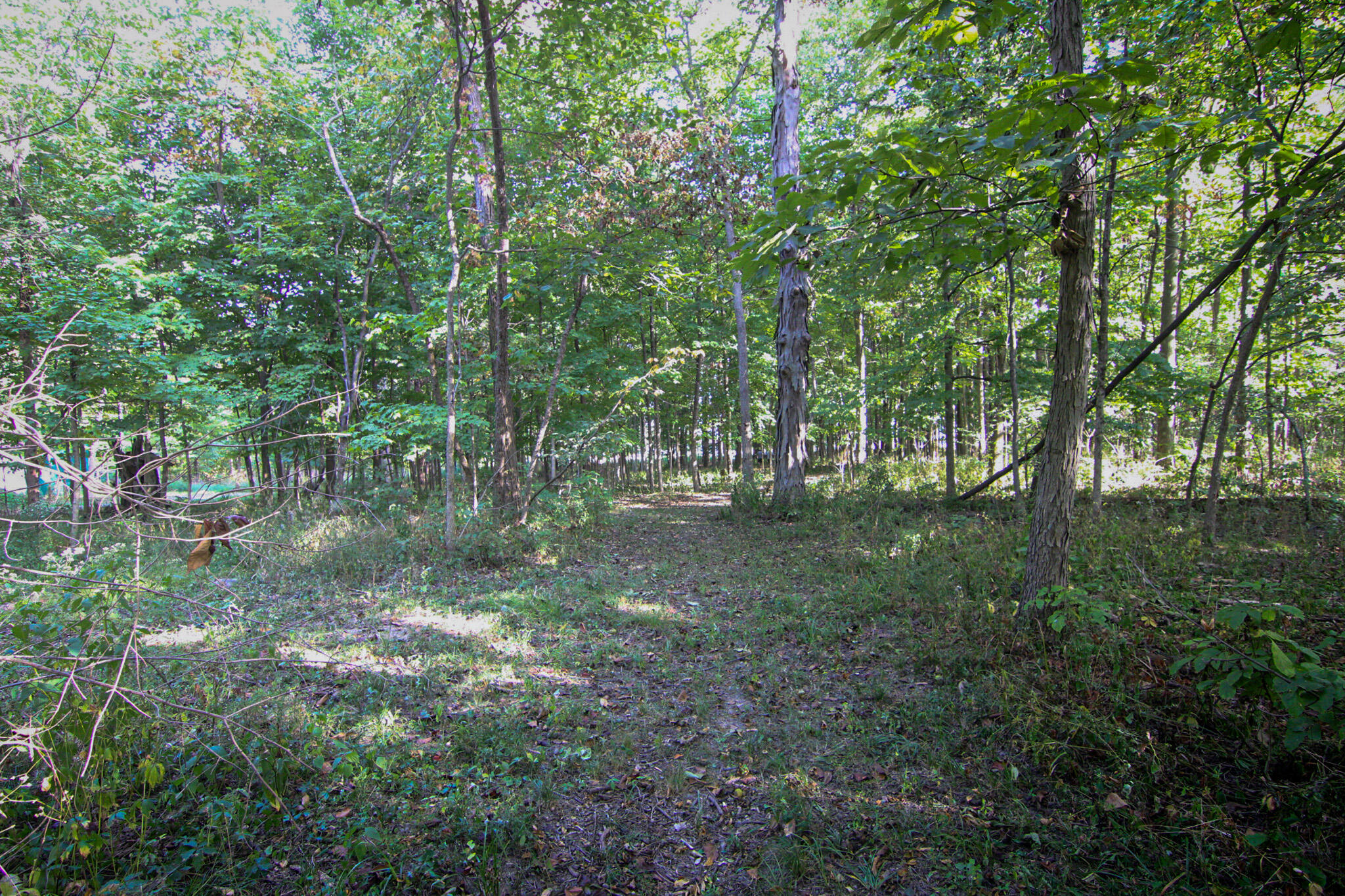 19680 Southland Road, Jackson Center, Ohio 45334
