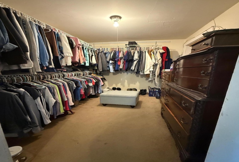 DOWNSTAIRS BED CLOSET