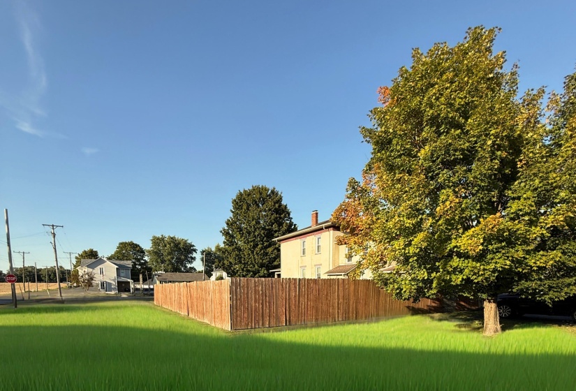 Back of Yard from driveway