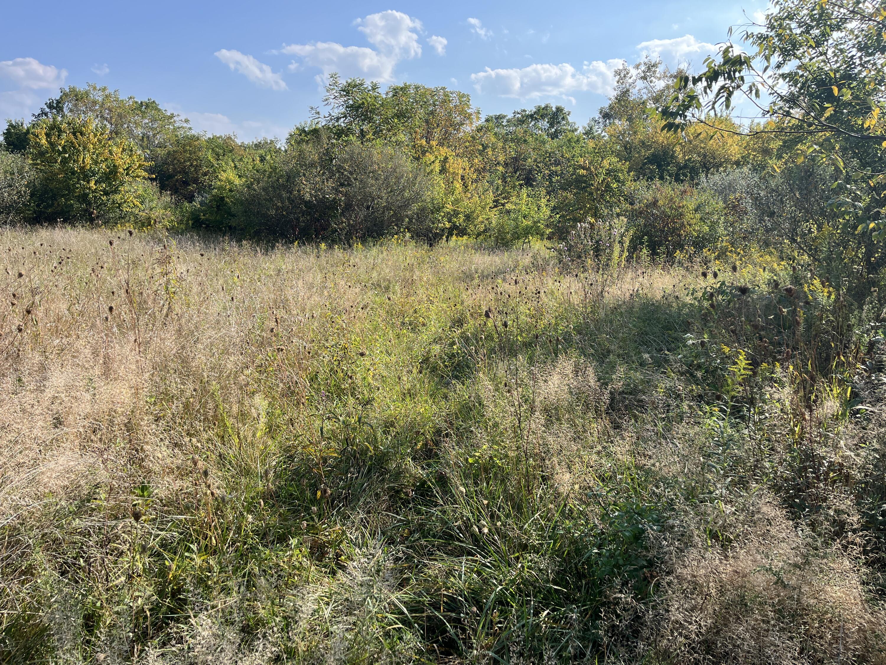 0 Township Road 127, Zanesfield, Ohio 43360