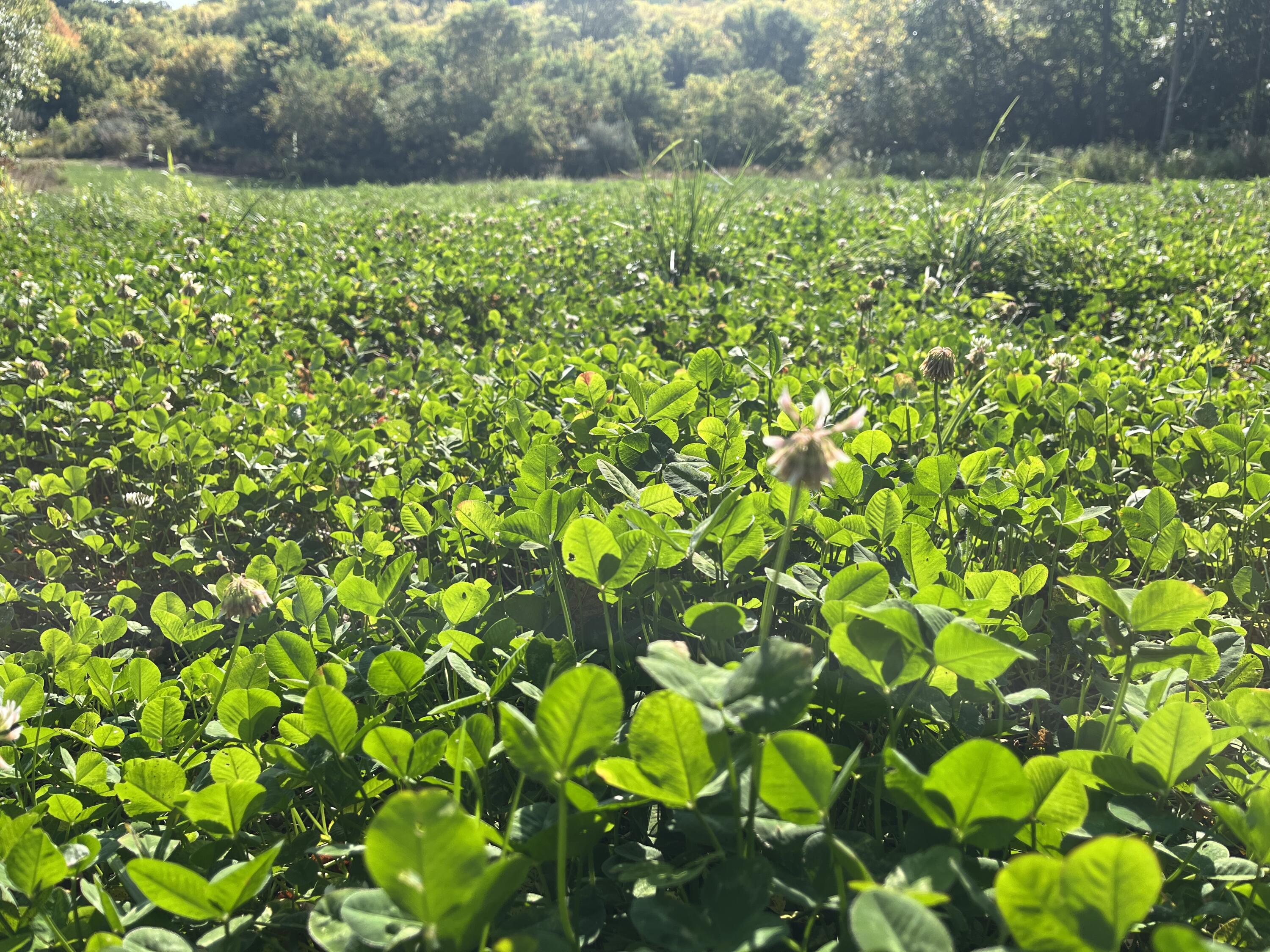 0 Township Road 127, Zanesfield, Ohio 43360