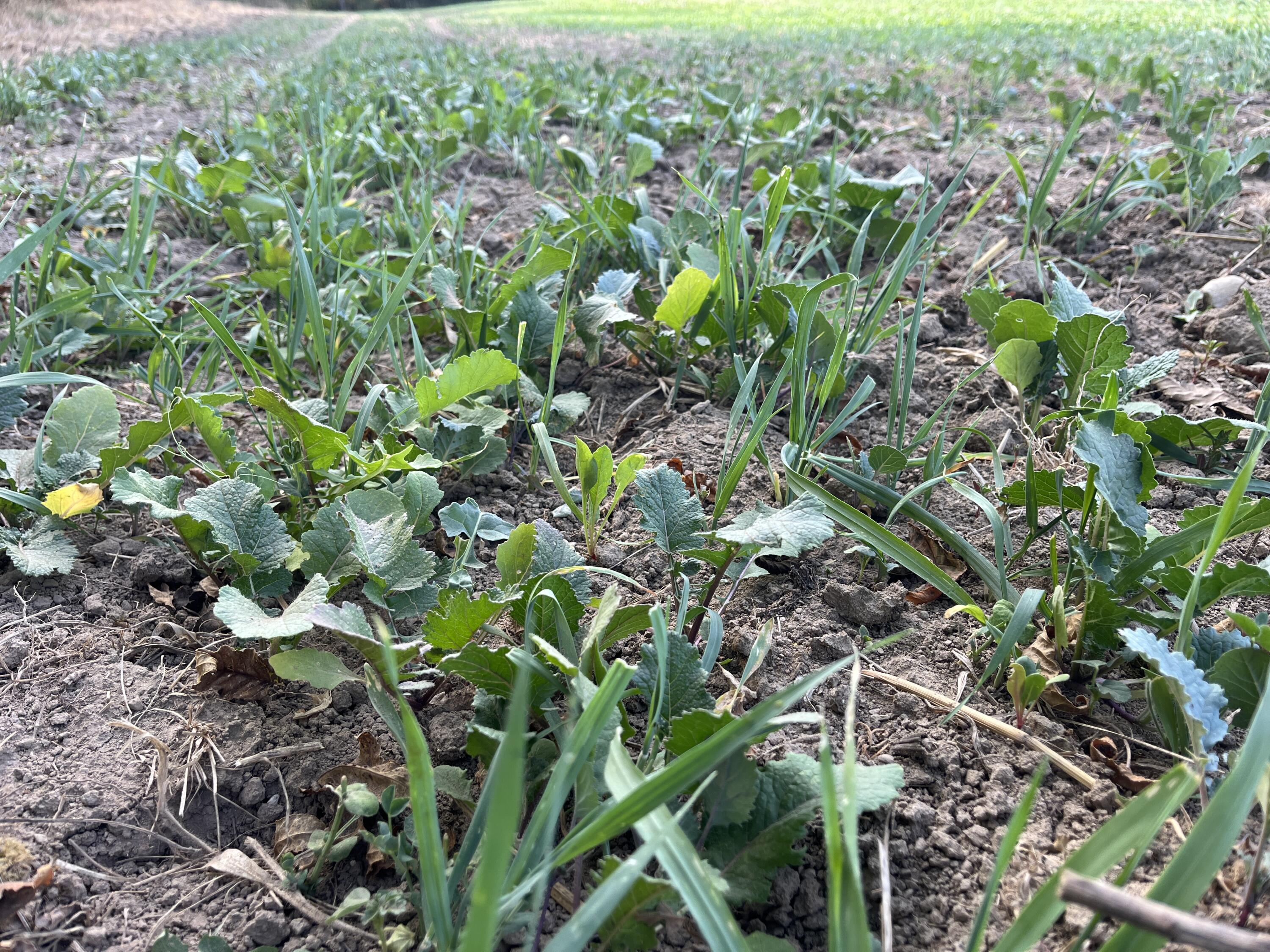 0 Township Road 127, Zanesfield, Ohio 43360