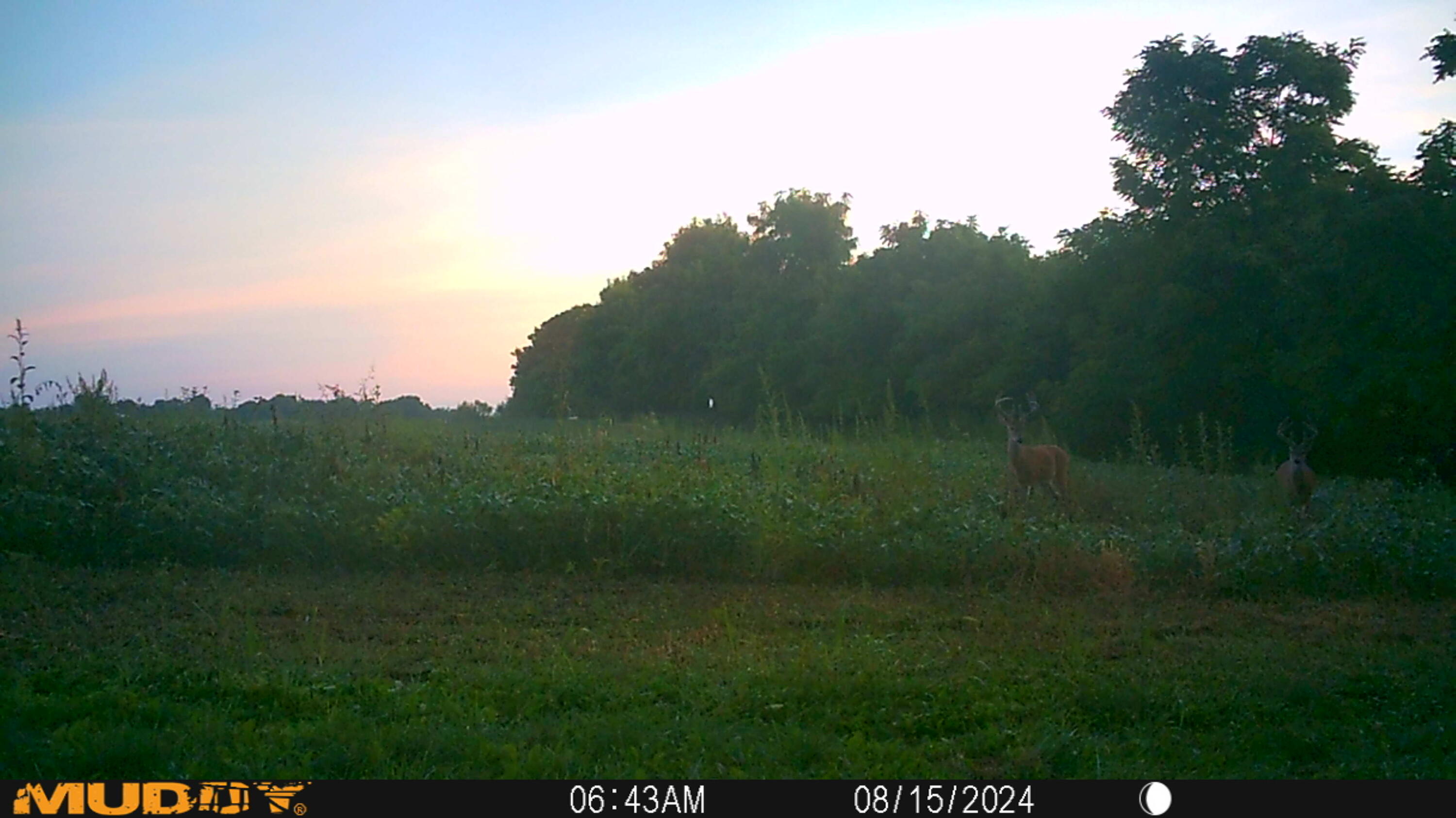 0 Township Road 127, Zanesfield, Ohio 43360