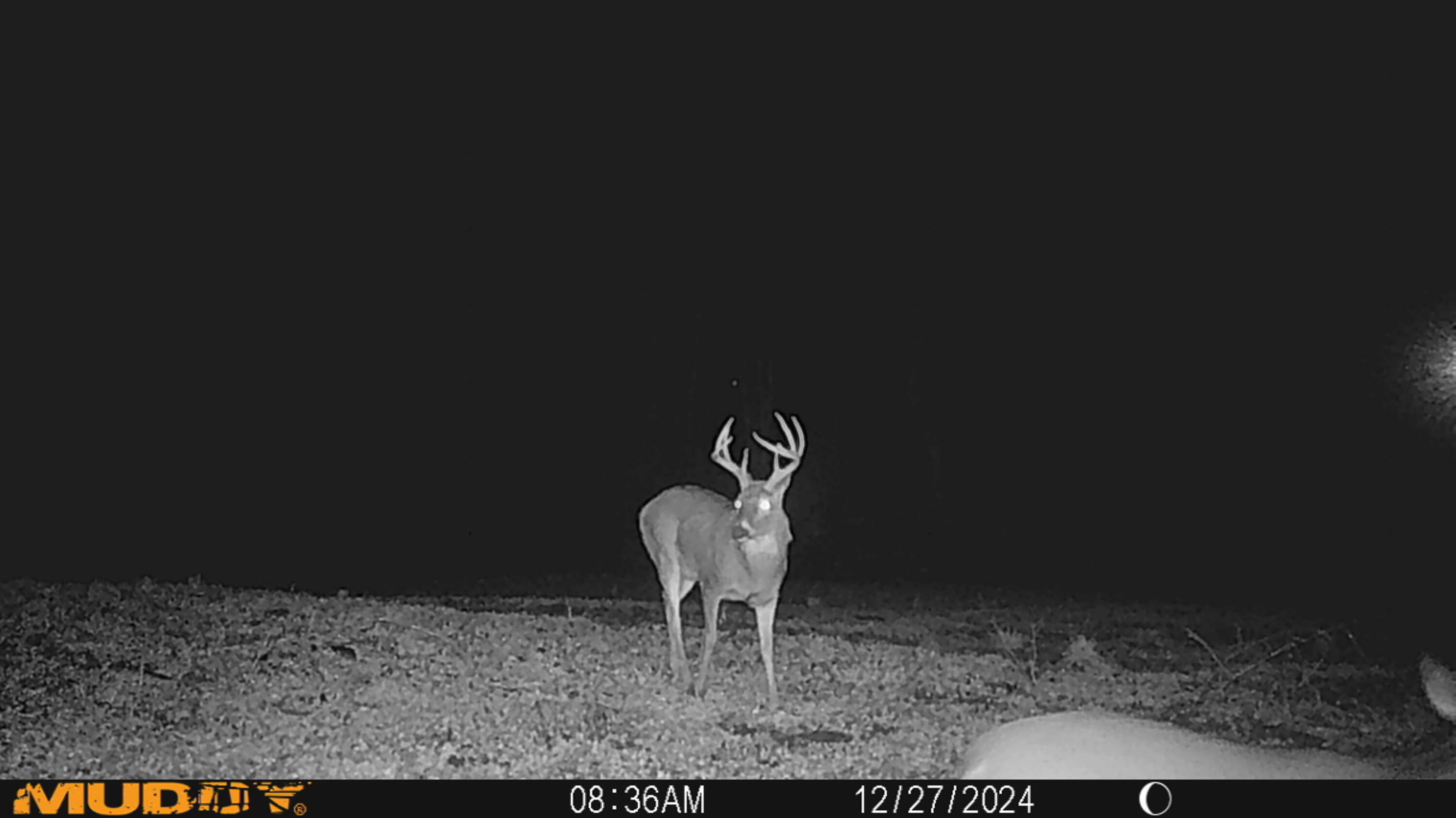 0 Township Road 127, Zanesfield, Ohio 43360