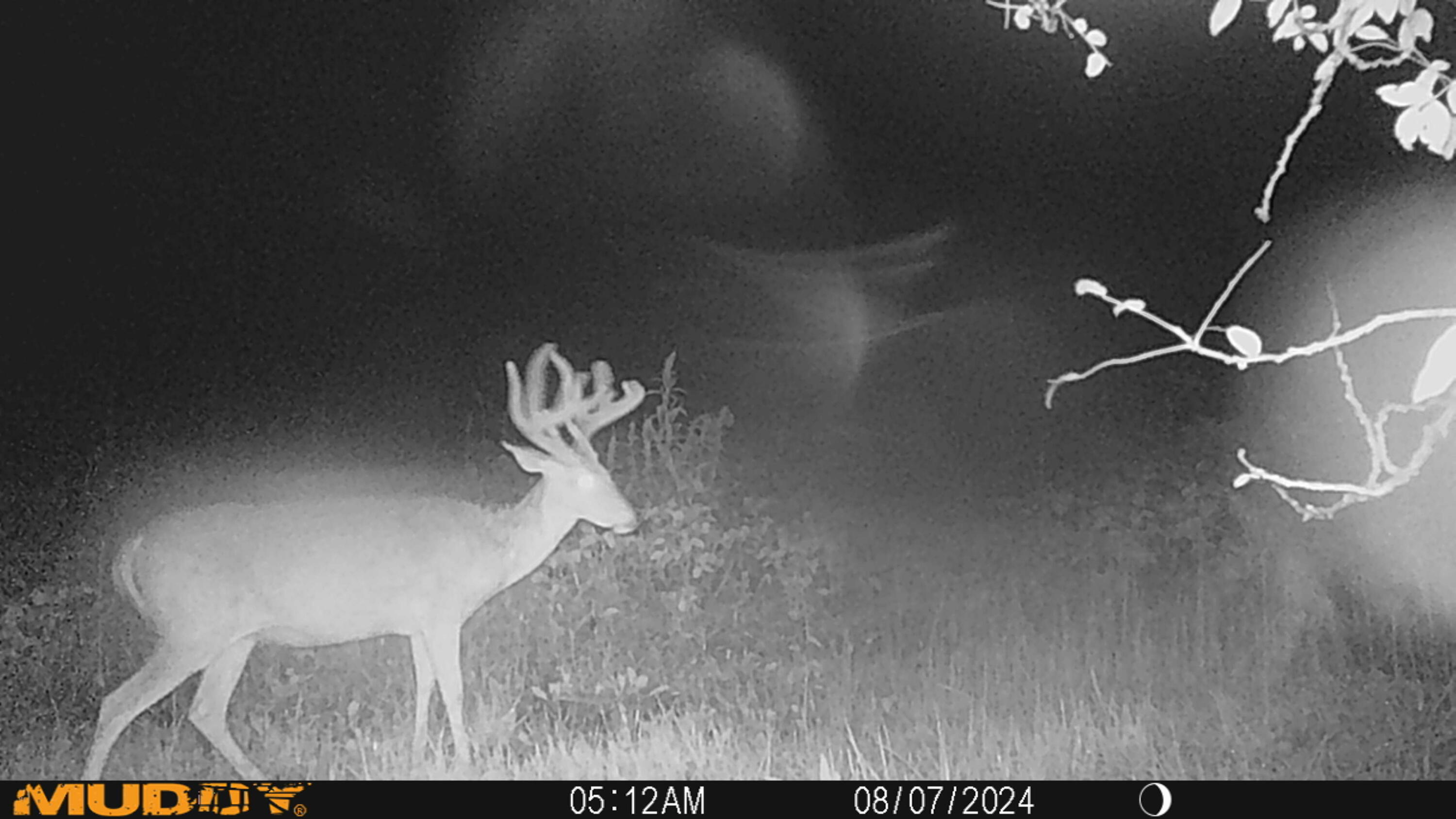 0 Township Road 127, Zanesfield, Ohio 43360