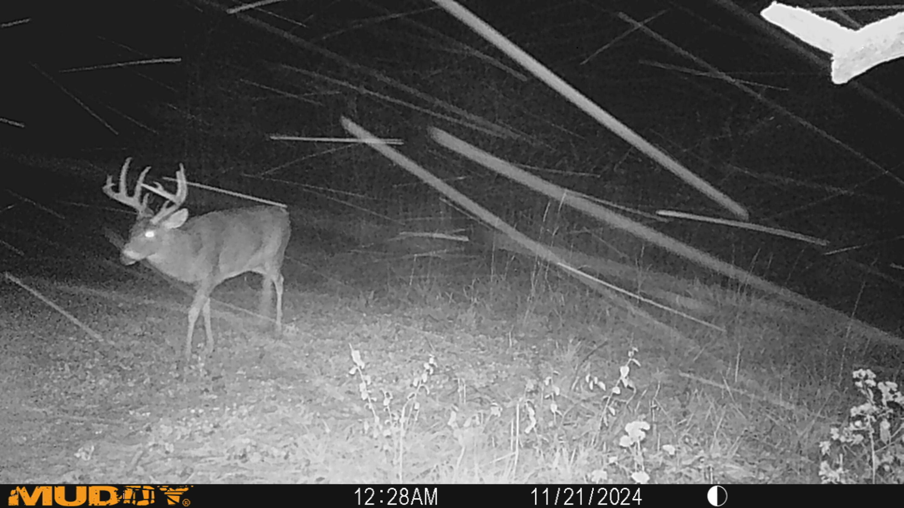 0 Township Road 127, Zanesfield, Ohio 43360