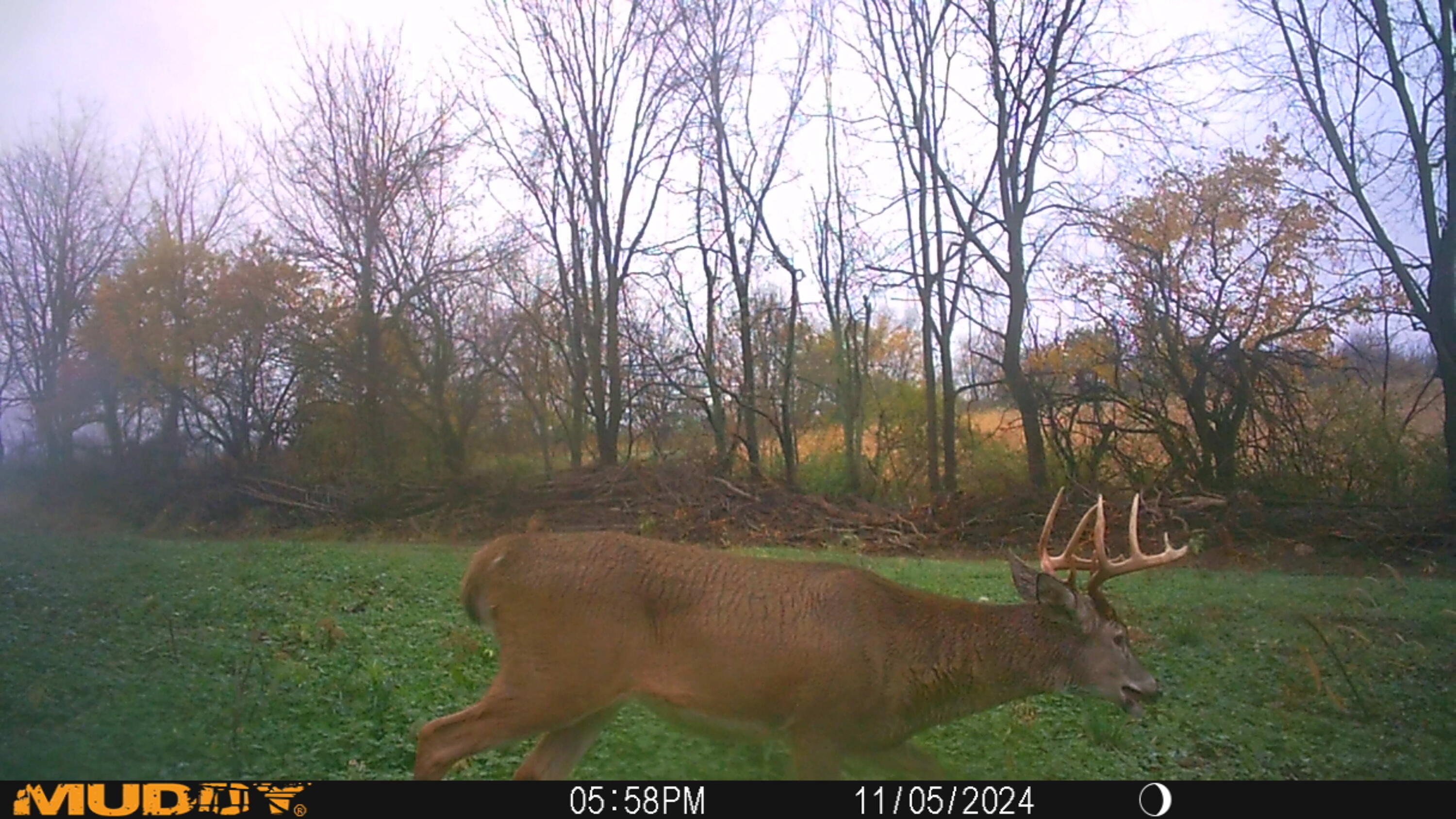 0 Township Road 127, Zanesfield, Ohio 43360